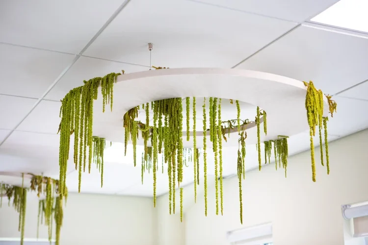 acou.space acoustic solutions