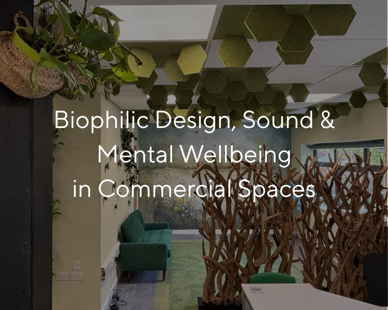 Biophilic Design, Sound and Mental Wellbeing in Commercial Spaces