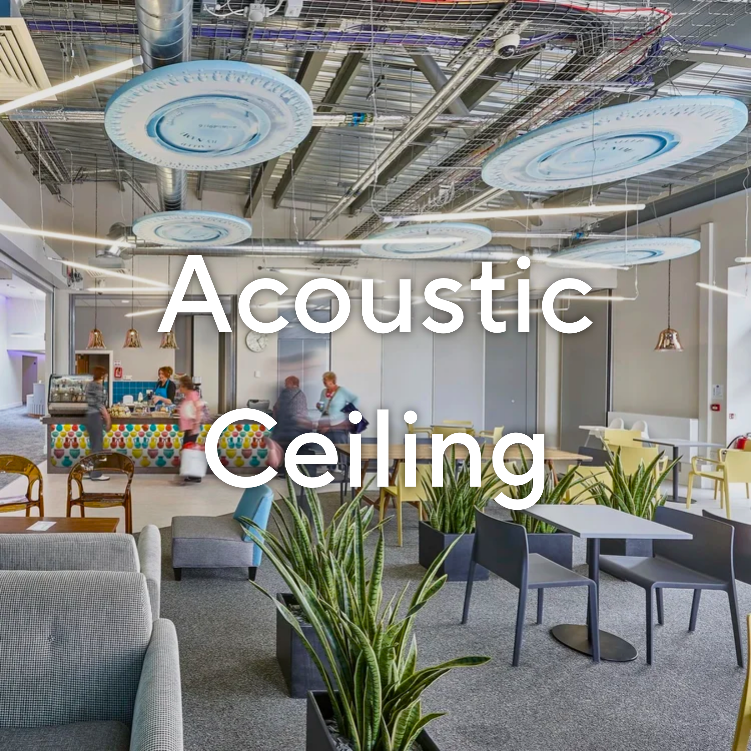 Custom acoustic ceiling panels designed to reduce echo and enhance the aesthetics of any space.