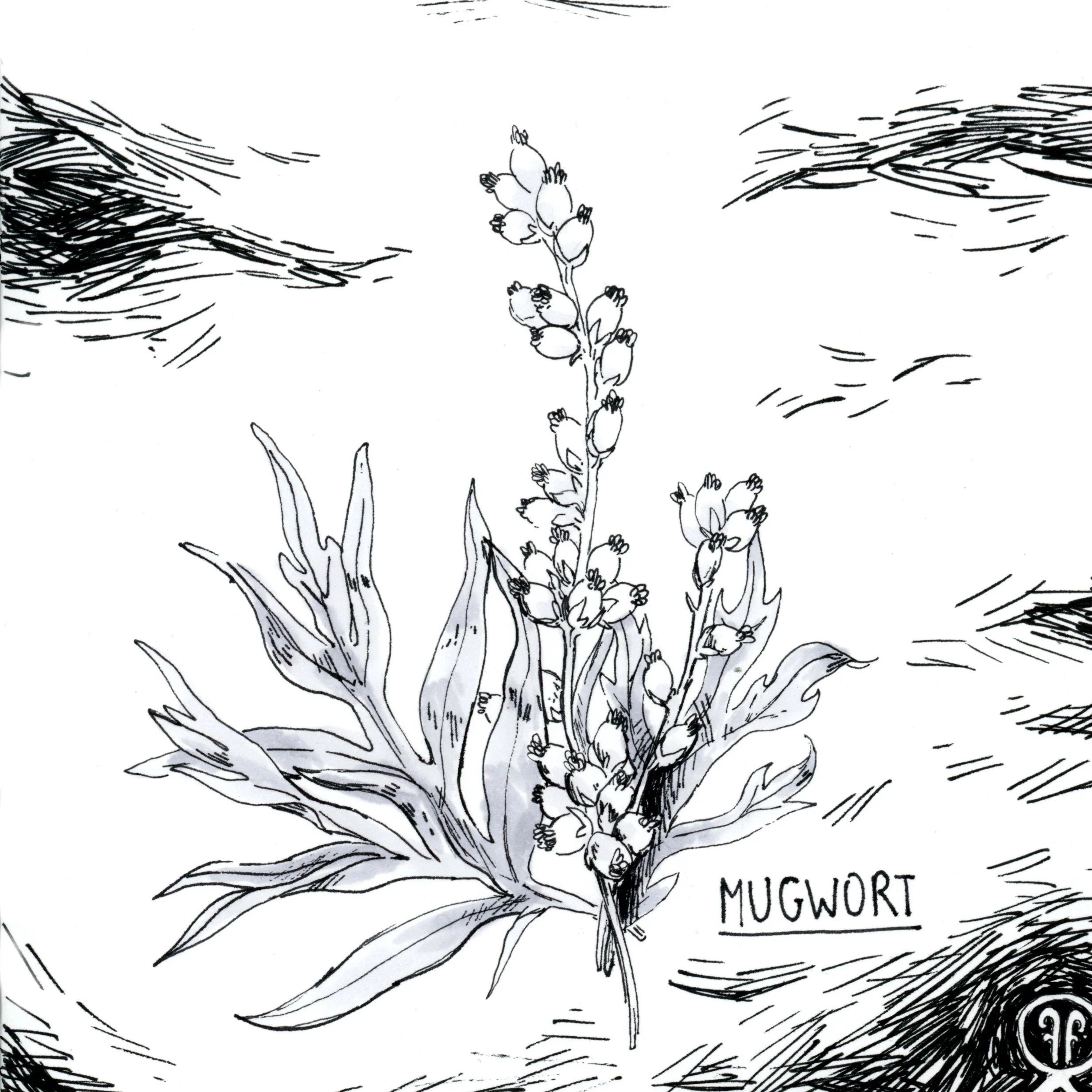 Inktober_13.jpg