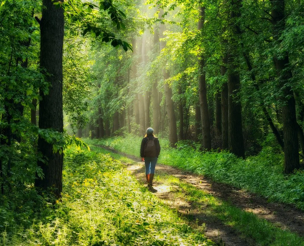 Woman walking through the woods on a path with sunlight streaming down through the tress during the afternoon.