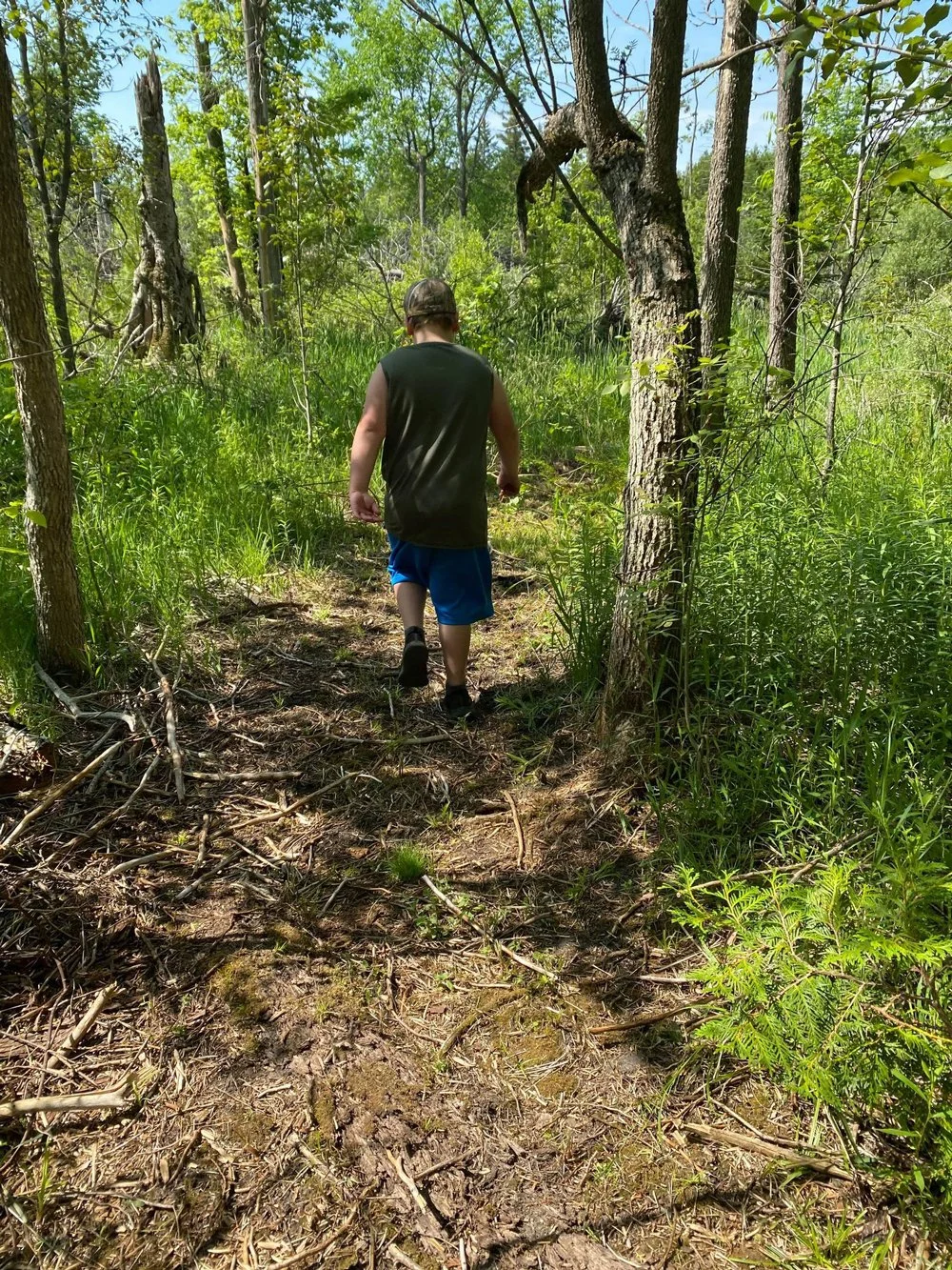 Back view of young man walking on a forest path at Fox Haven wearing shorts and a tank top.