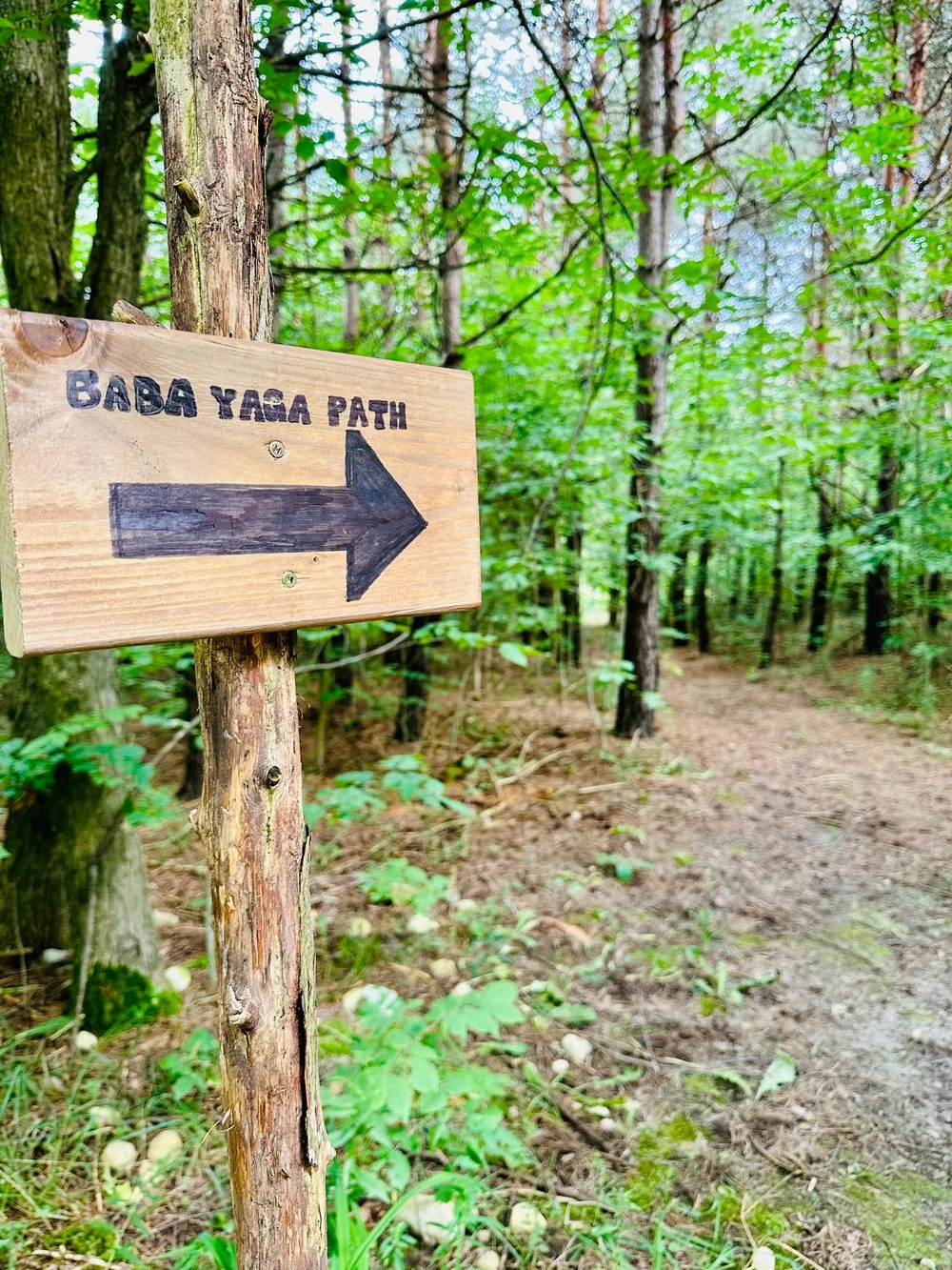 Trail sign for the "Baba Yaga Path" with an arrow located at Fox Haven Retreat.