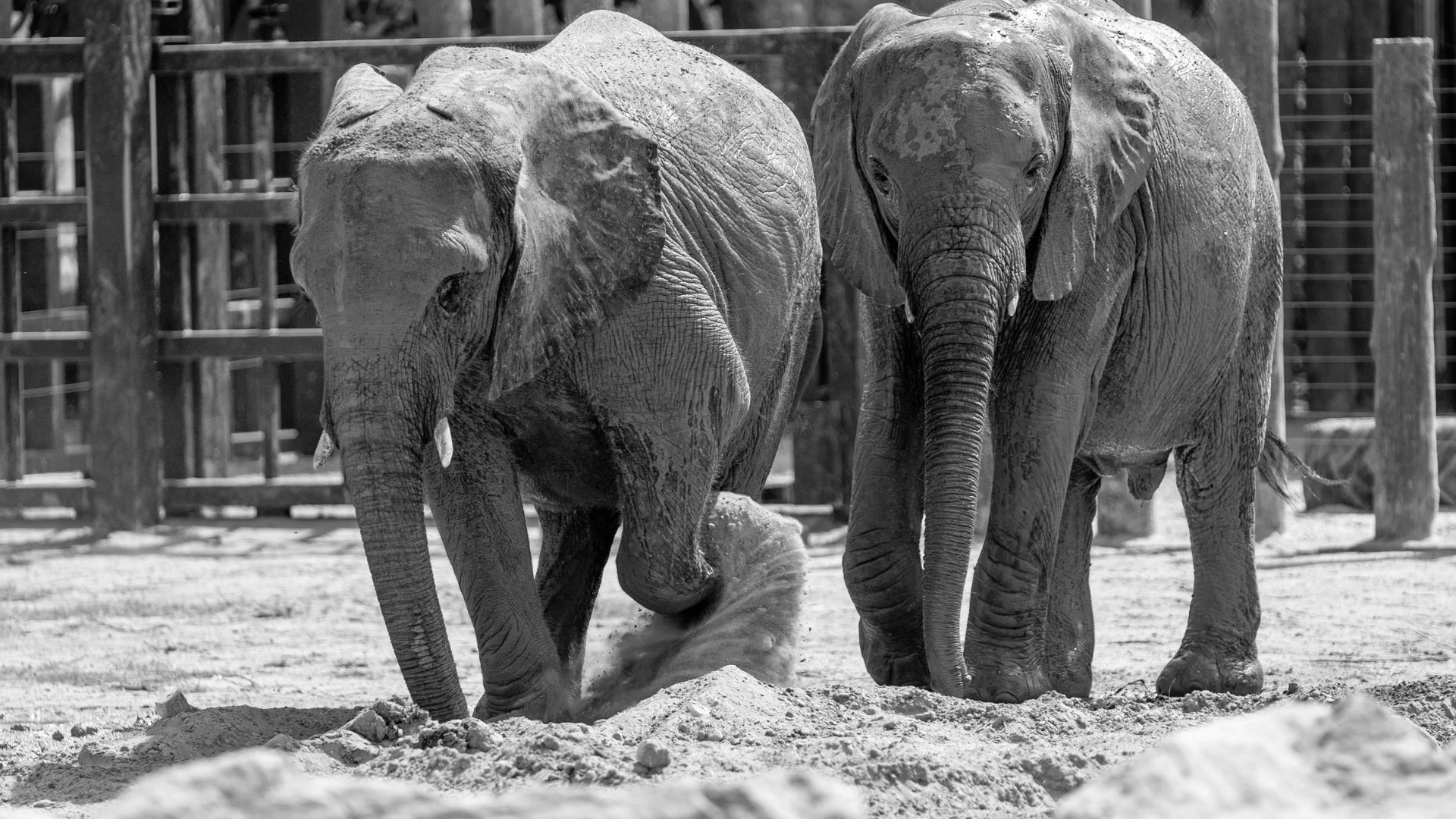 legacy 55+ trip to the central Florida Zoo