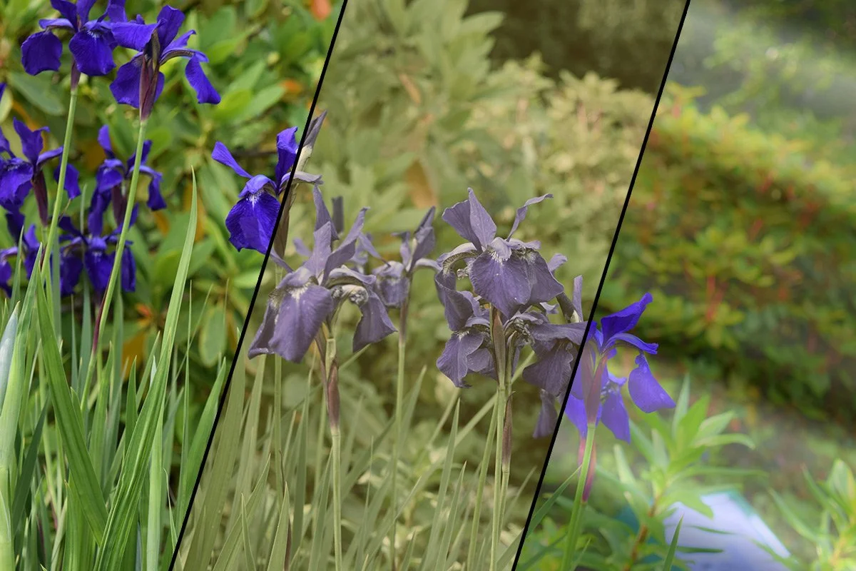 Example #4: Glass Issues