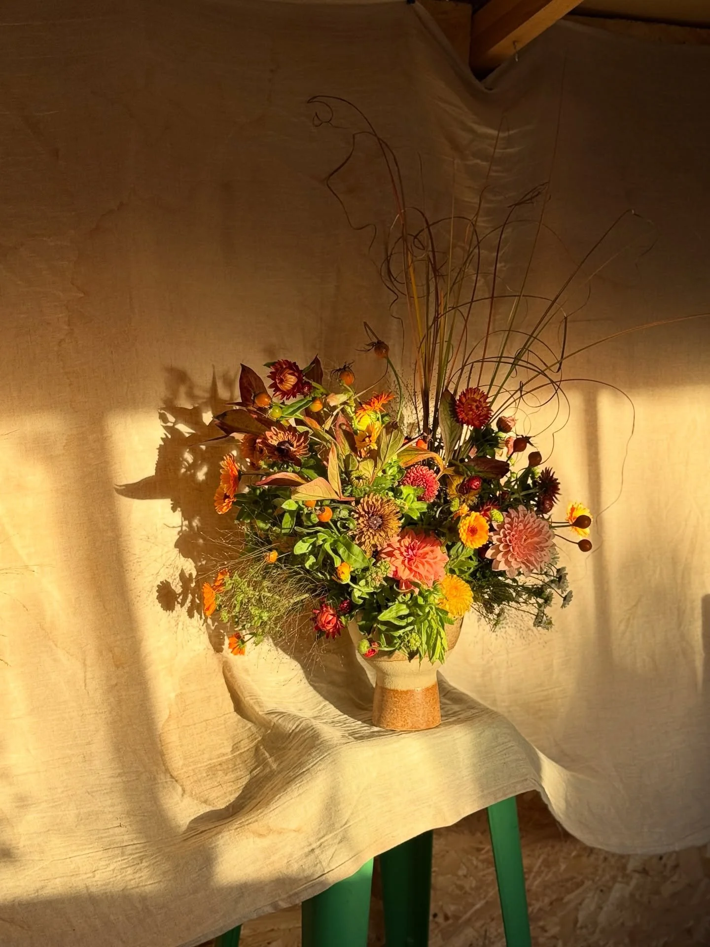 Suncatcher 🌞 

Created with leftovers from a recent wedding. Flowers all from @whitegooseflowerfarm.