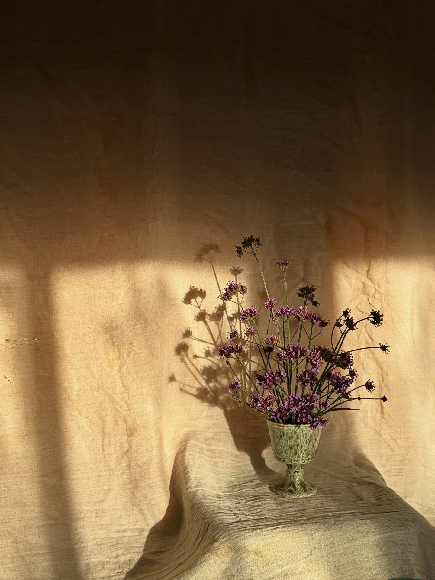 A verbena bonariensis ikebana arrangement. The vase is a charming little charity shop find. Sometimes I prefer the shadows to the flowers 🌓