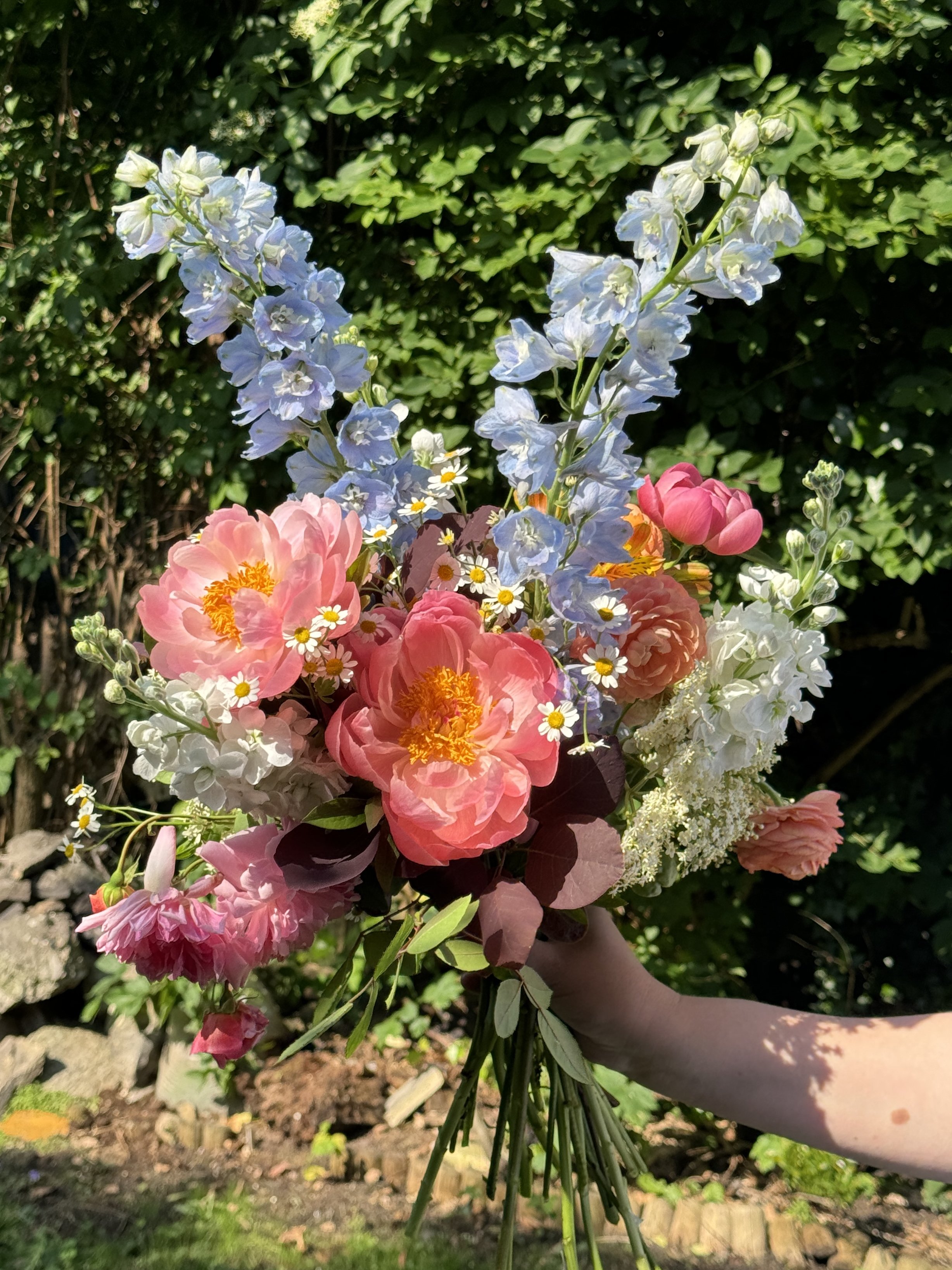 IMG_8755.jpeg