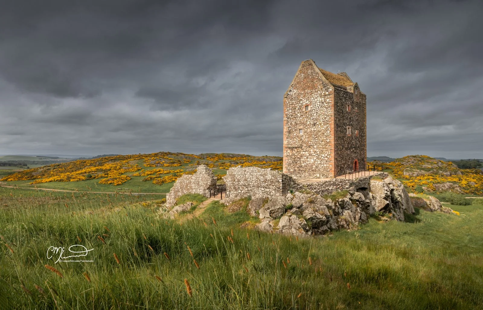 Scottish Lowlands, Scotland. Ancient stone tower on a grassy hill with rocky outcroppings, yellow flowering bushes on hills in background, and a dark cloudy sky.