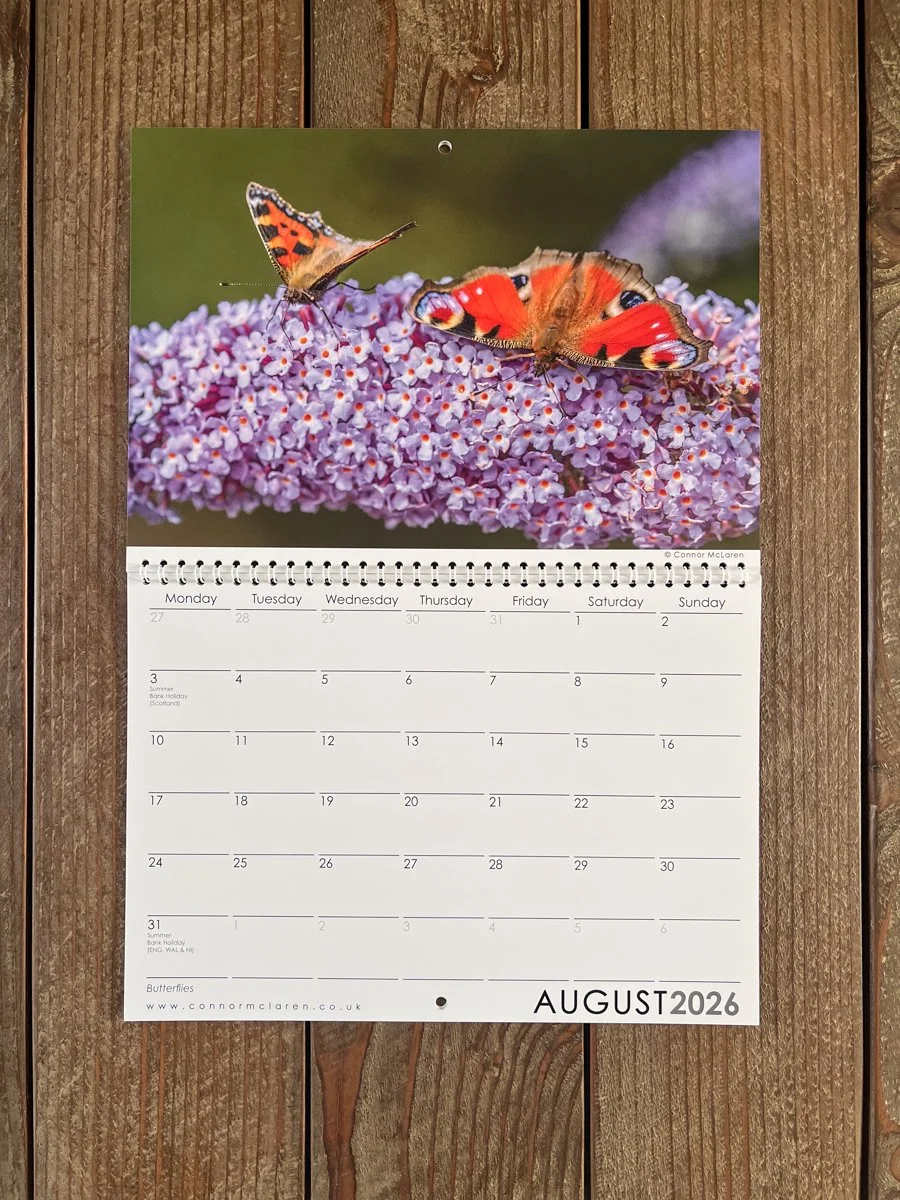 2026 Calendar1-58.jpg