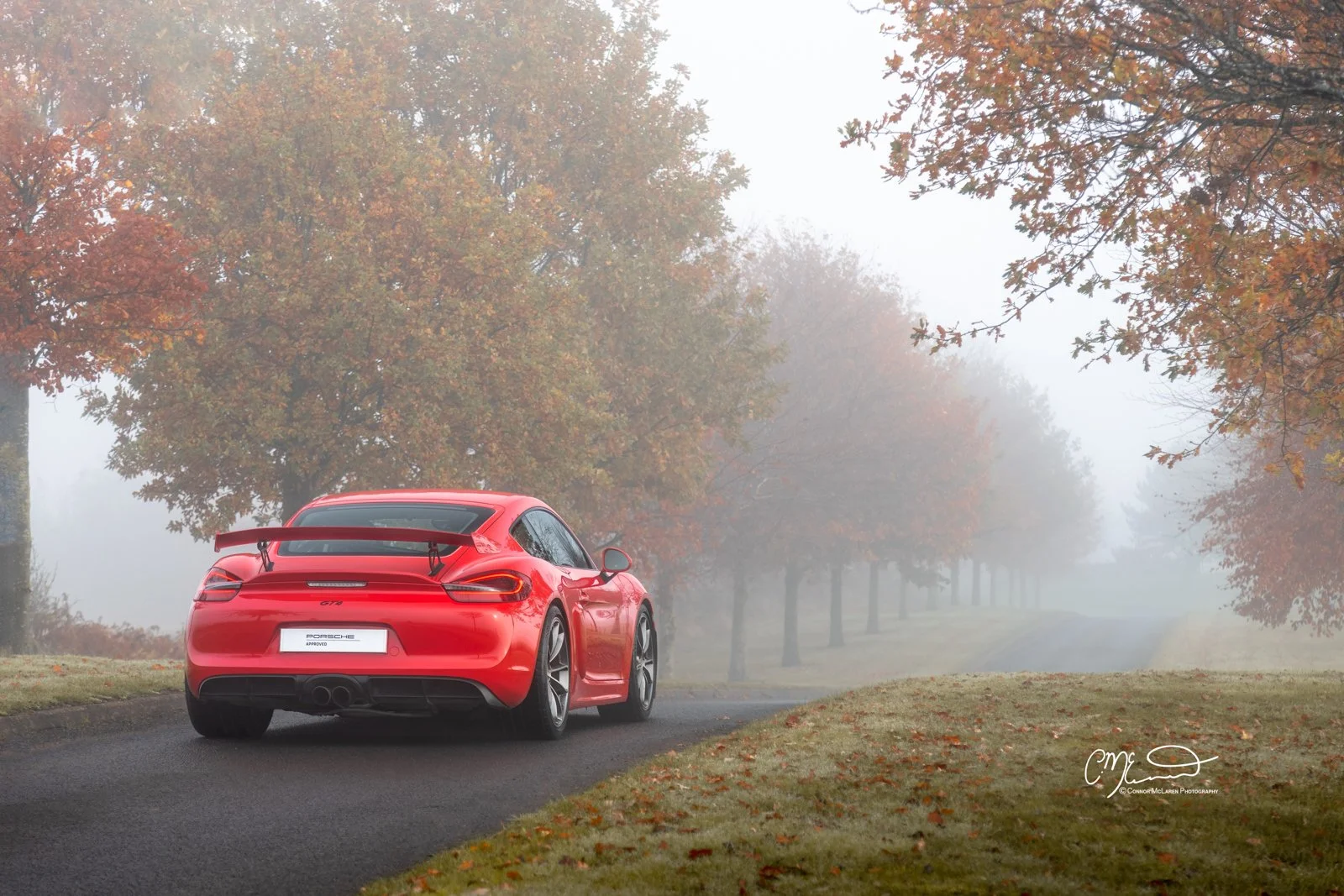Red Porsche GT4 sports car driving on a foggy road surrounded by a park with autumn-colored trees.