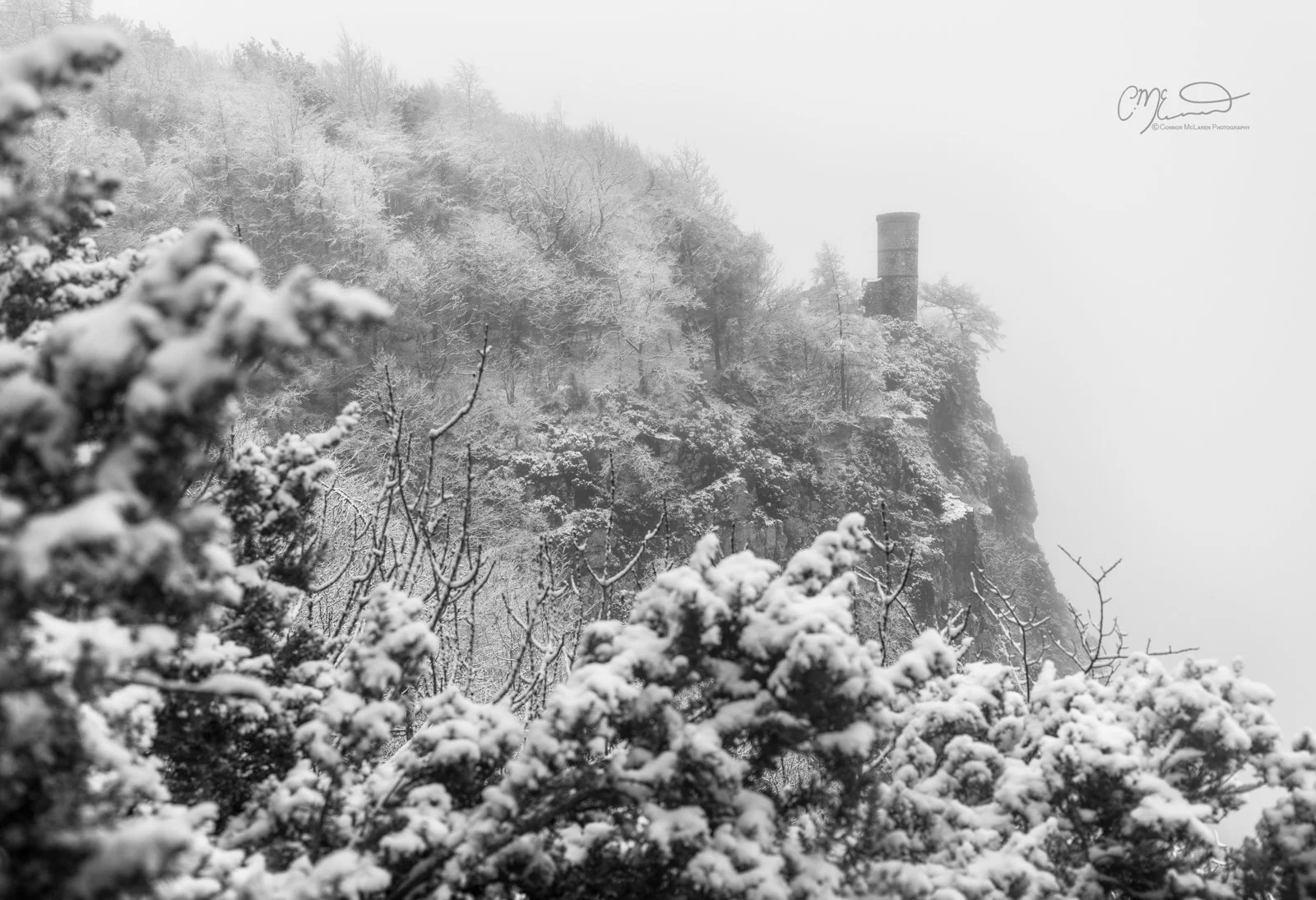 Scotland, Kinnoull Hill. Snow-covered trees and a cliff with a tower on top, obscured by fog or snow.