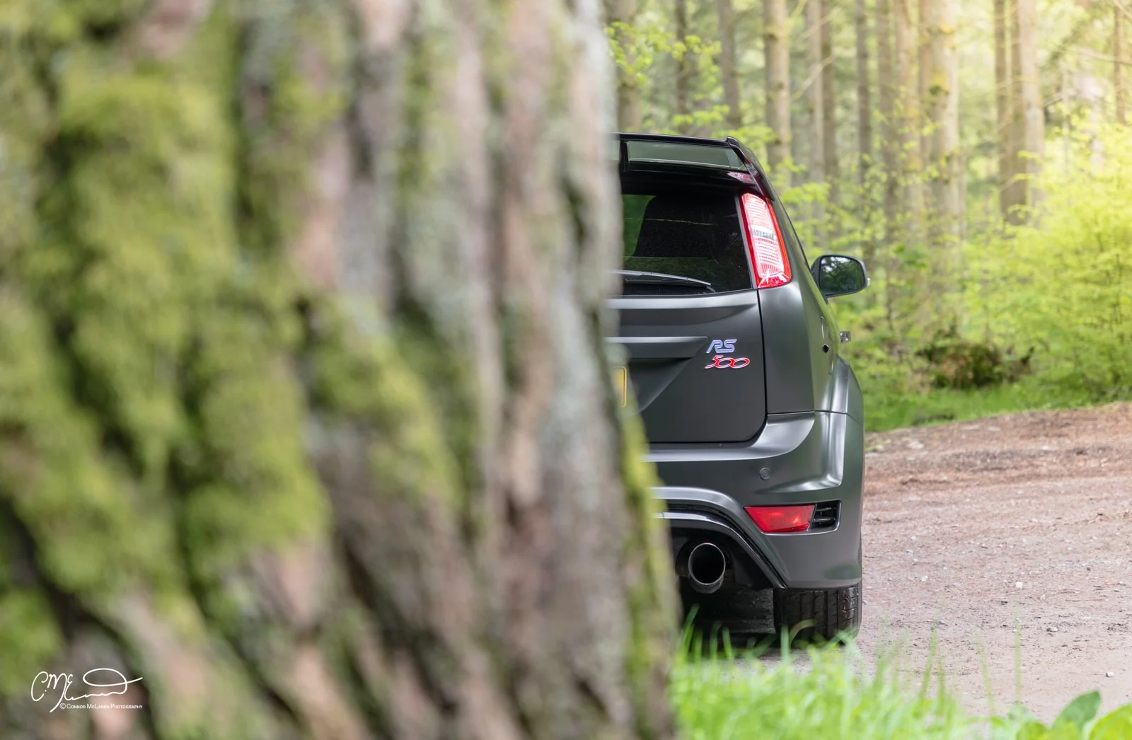 Ford Focus RS500. Half of a gray Ford Focus RS 500 car is visible behind a tree on a dirt road in a forest with green trees and grass.