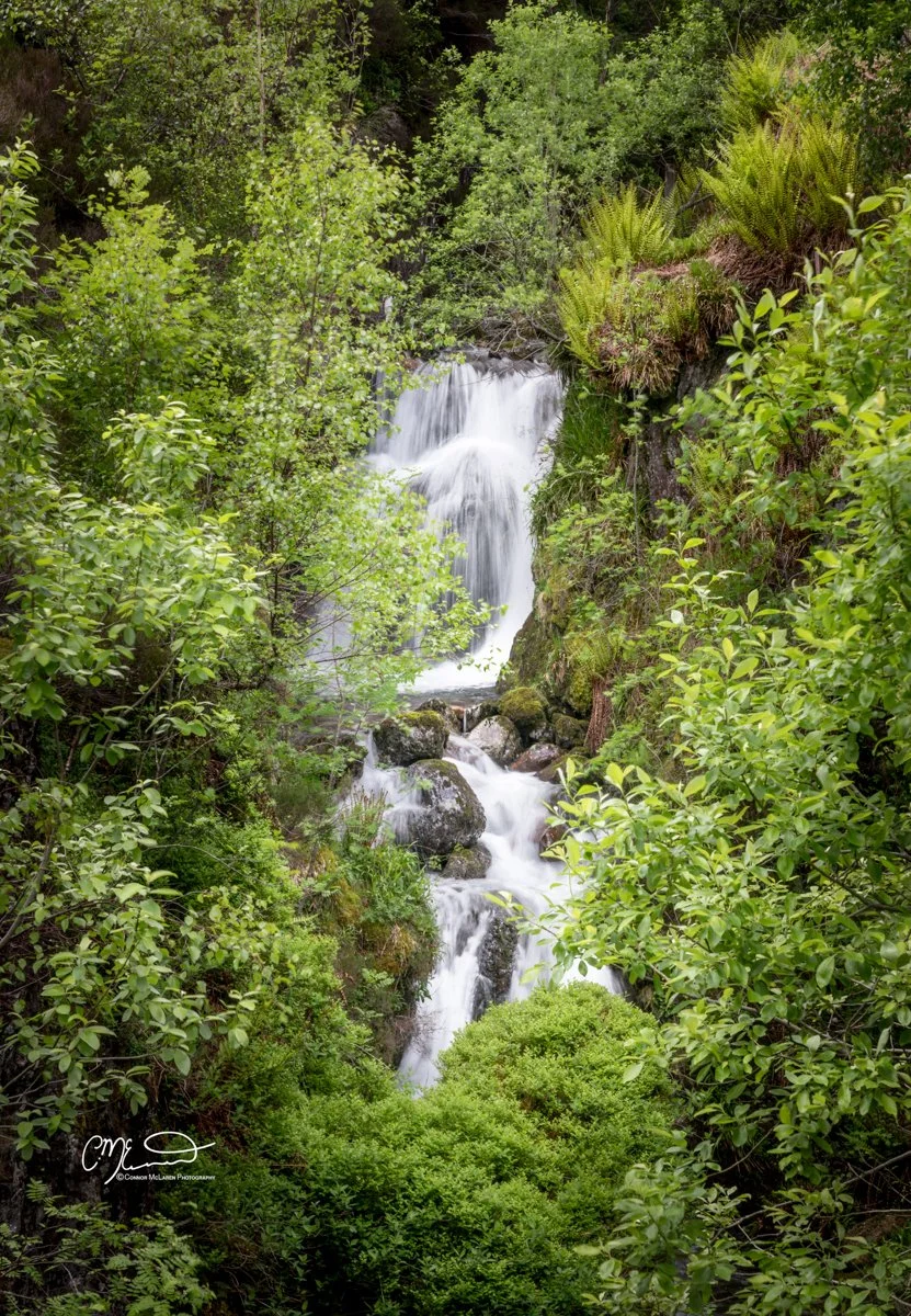 Glen Coe and Glen Etive, Western Highlands, Scotland. A waterfall flowing over rocks surrounded by dense green foliage in a forest.