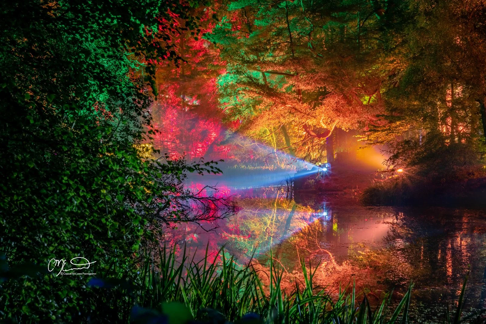 Nighttime scene of a forest with colorful LED lights illuminating the trees in green, red, yellow, and pink shades. A reflective body of water in the foreground mirrors the vibrant lights and tree silhouettes. A blue spotlight creates a beam across the water, adding dramatic lighting to the scene.