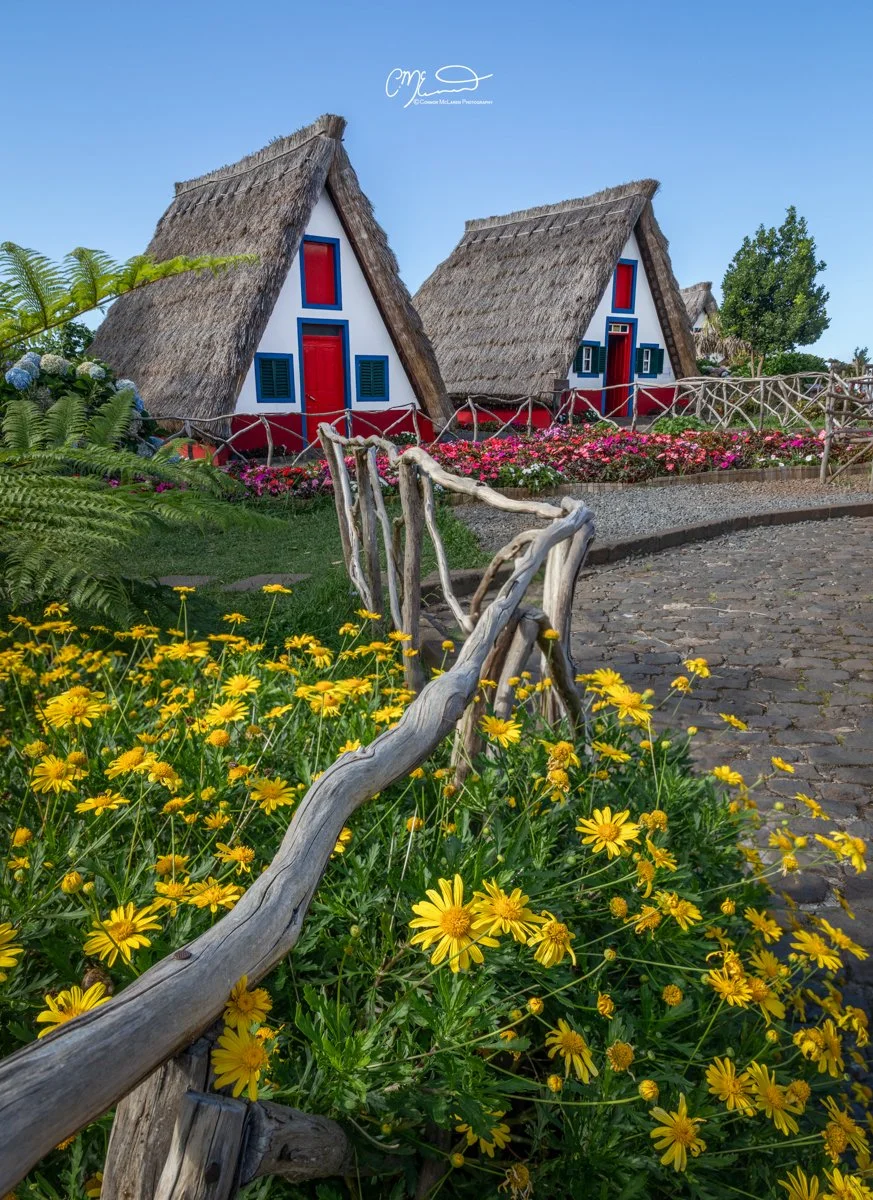 traditional houses, Madeira Portugal. Two colorful houses with thatched roofs and red doors, surrounded by a garden with yellow flowers and a wooden fence on a stone pathway.