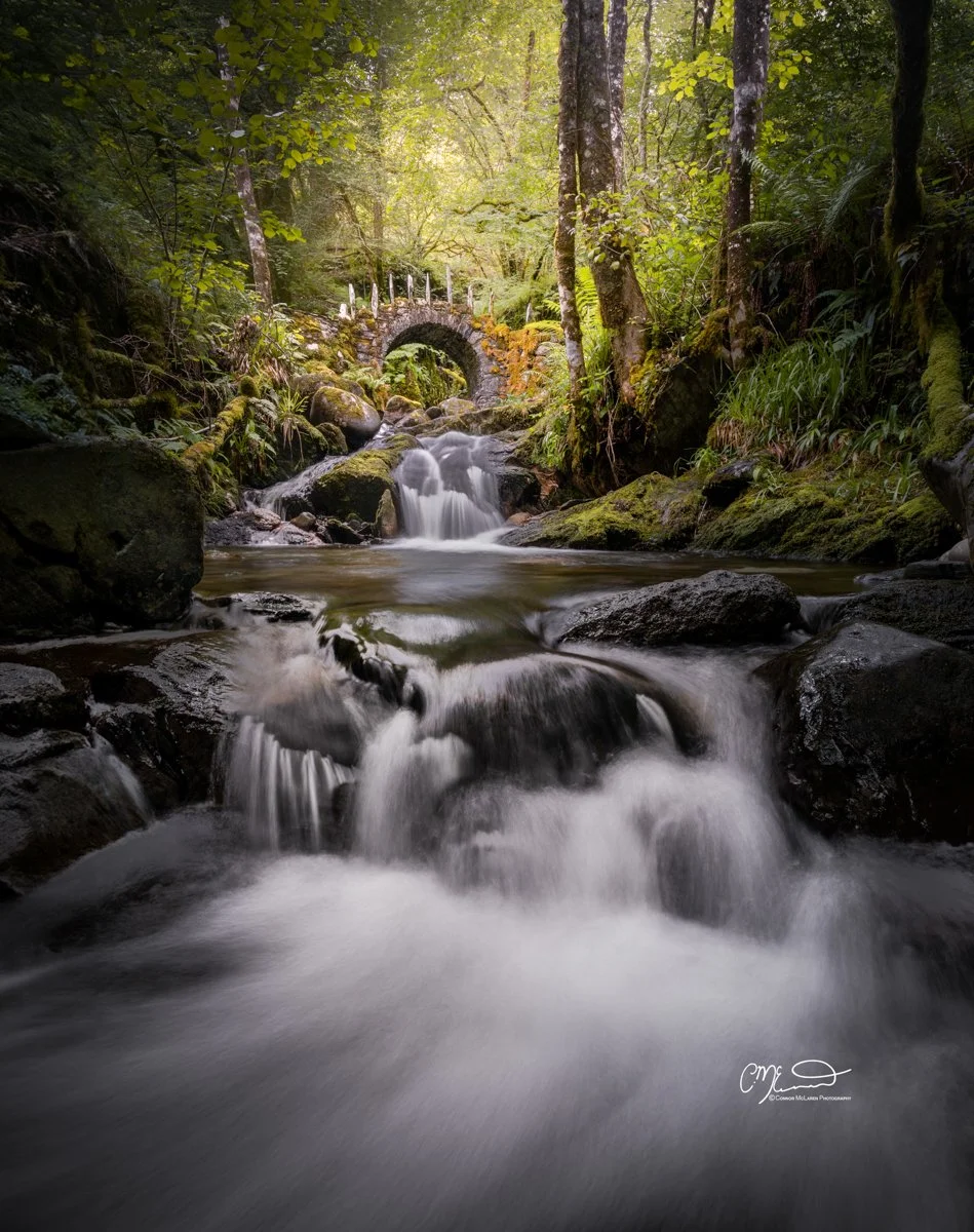 Glen Creran, fairy bridge,, Western Highlands, Scotland. A forest stream with flowing water cascading over rocks, leading to a small stone bridge in the background, surrounded by dense green trees and moss-covered rocks.