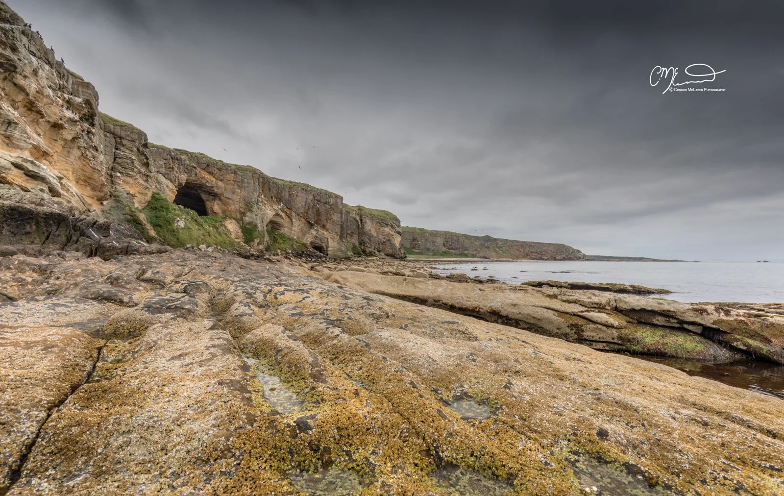 Covesea Caves, North East Scotland. Rocky coastline with layered cliffs, caves, and a cloudy sky, near the ocean