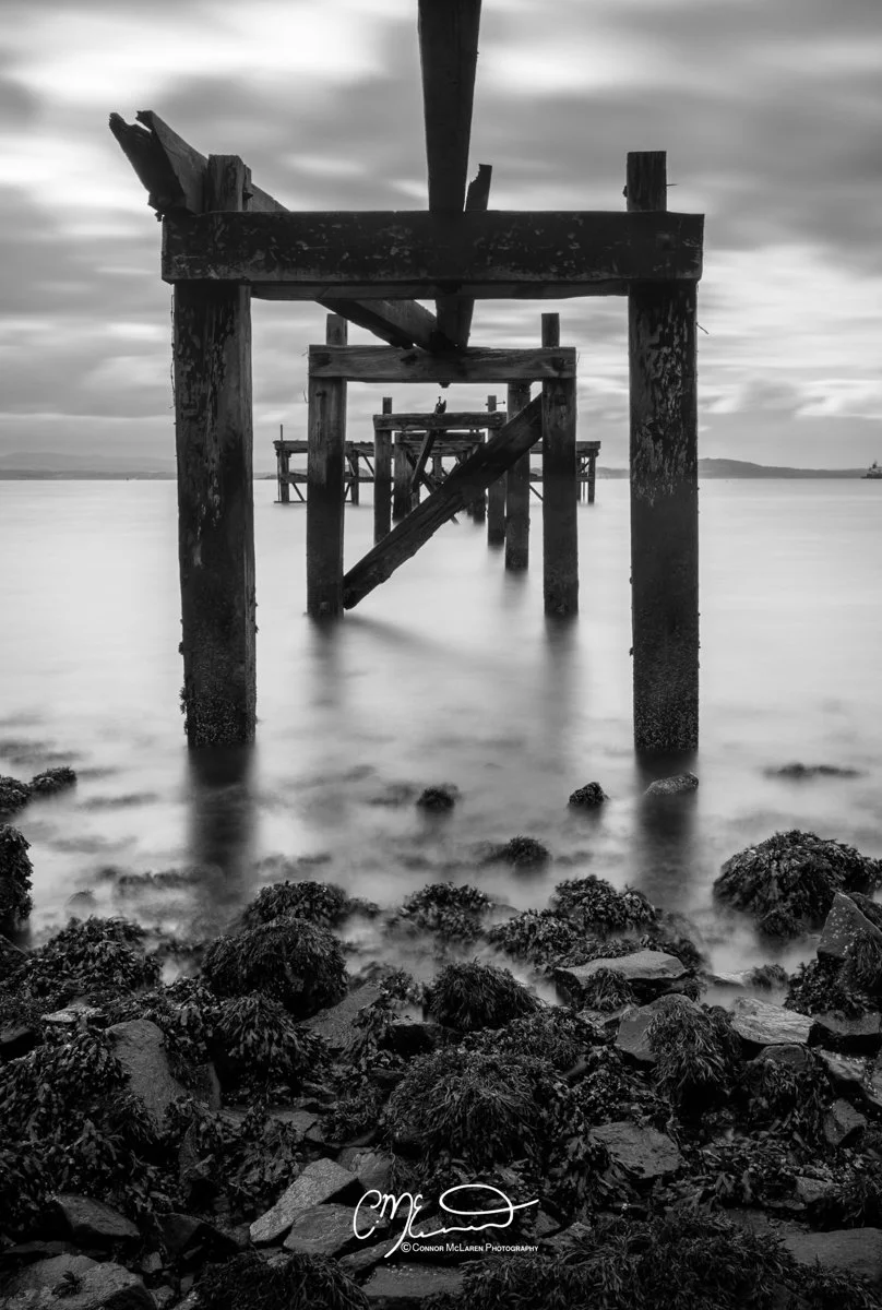 Black and white photo of an old, broken wooden pier extending into calm water, with rocks and seaweed on the shore in the foreground.