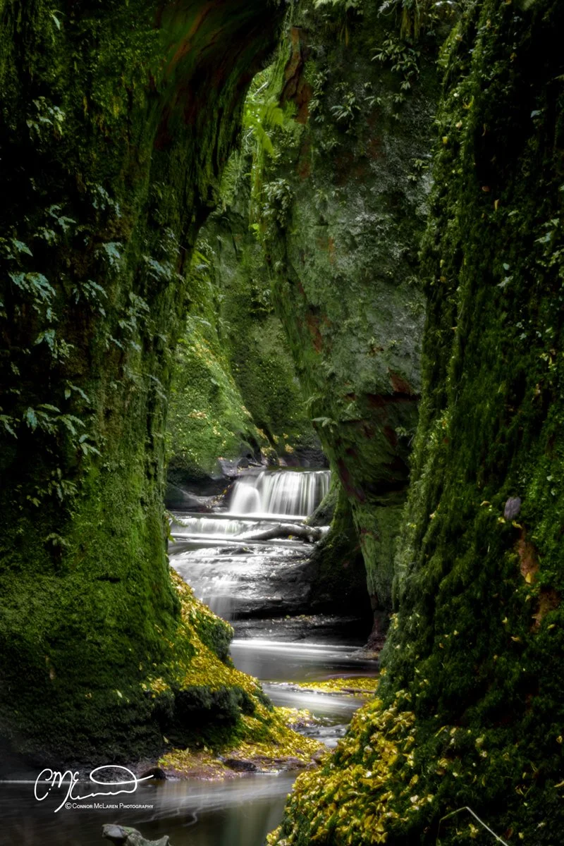 Scottish Lowlands, Scotland, devils pulpit, Outlander filming location. A tranquil moss-covered canyon with a small waterfall flowing into a stream surrounded by lush green plants and rocks.