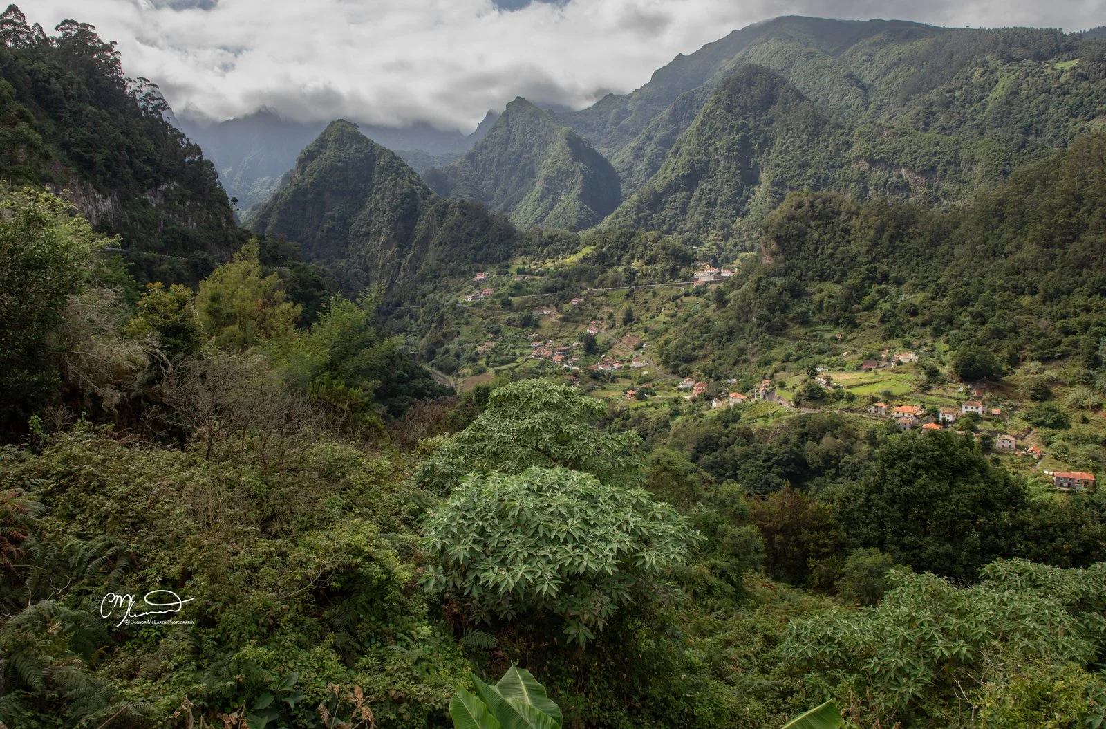 welcome to jurassic park, Madeira Portugal. Mountain valley with lush green trees and scattered small houses, surrounded by steep, forested mountains under cloudy sky.
