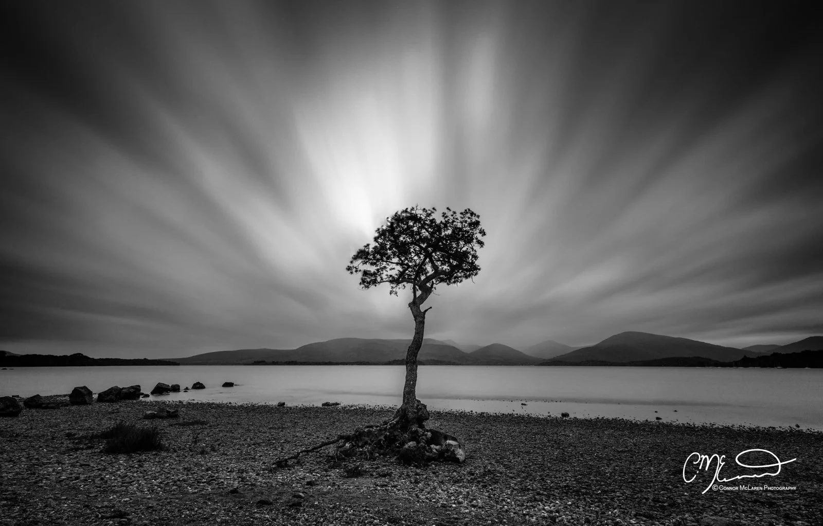 Scotland, Loch Lomond.. Black and white photo of a solitary tree on a pebble beach next to a body of water, with distant mountains and a sky with streaks of clouds or light rays in the background.
