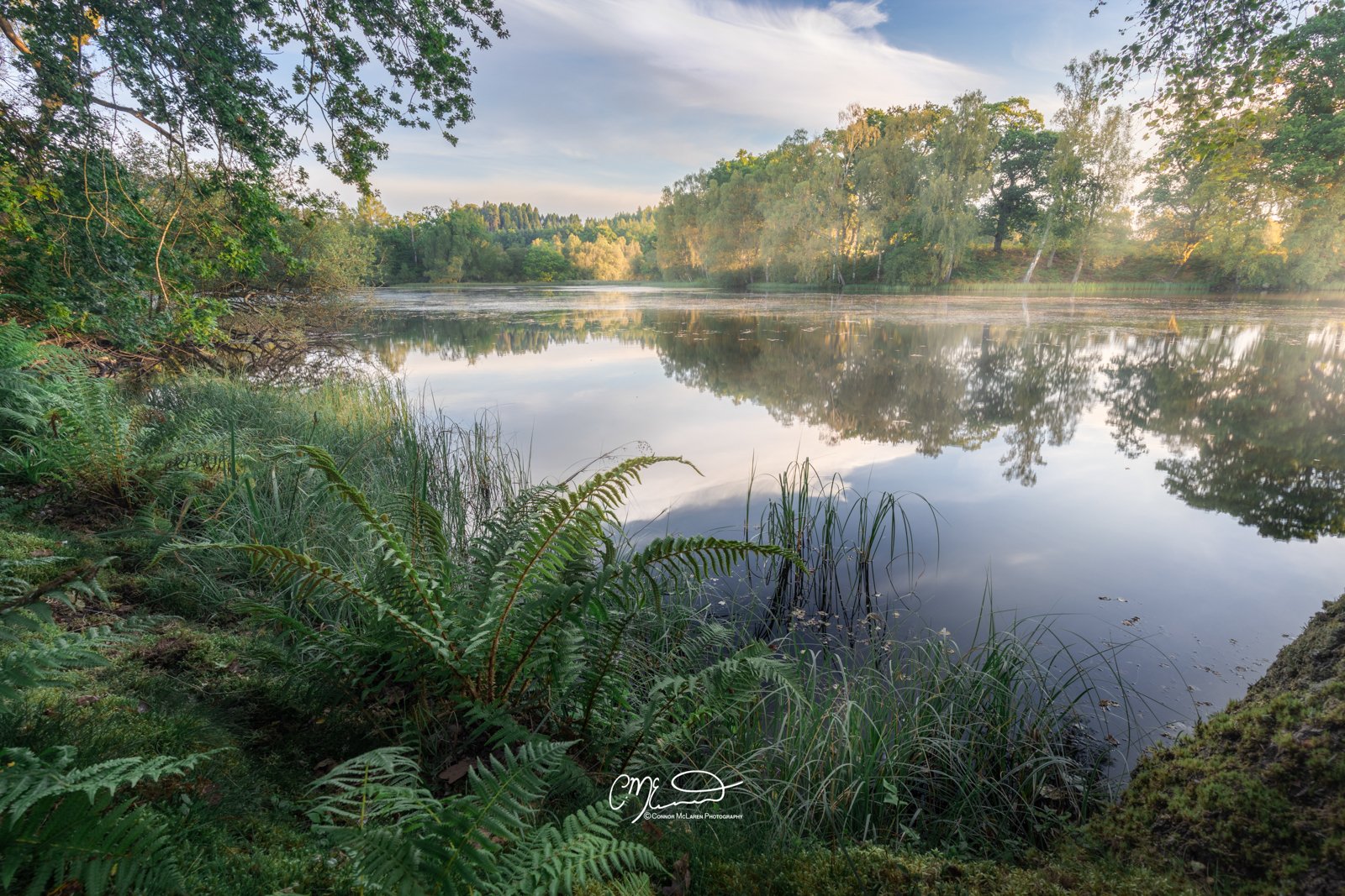 Scottish Central Highlands, Scotland, Perthshire Loch. A calm river reflecting the trees and sky, surrounded by lush green foliage and plants along the riverbank in a serene natural setting.