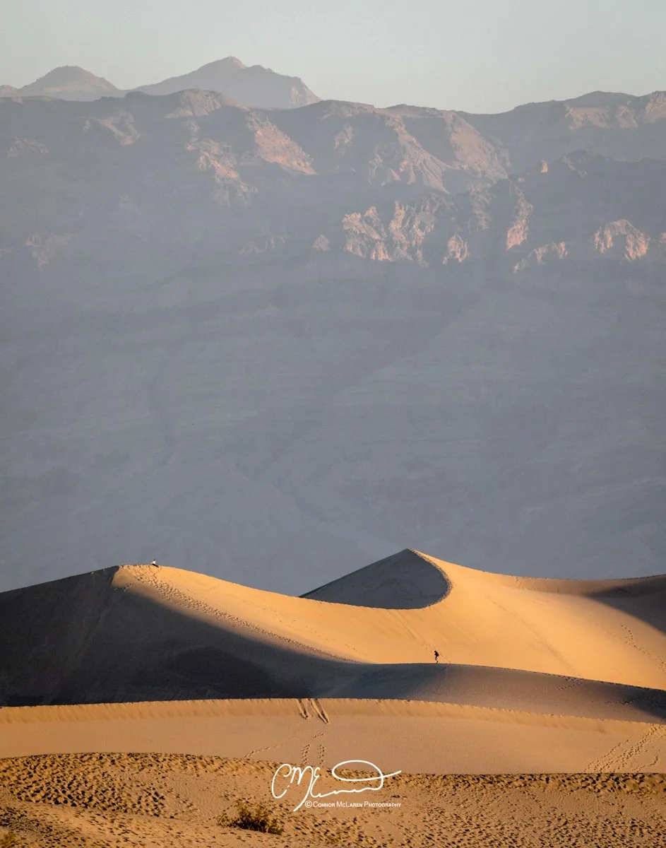 Death Valley National Park, California, United States of America, USA. A desert landscape with sand dunes in the foreground and mountains in the background, illuminated by the setting sun.