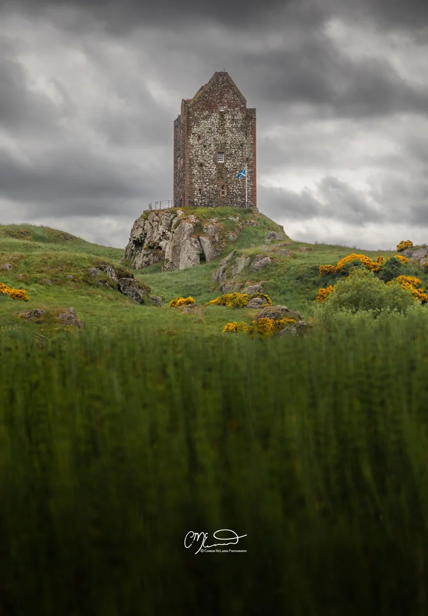 Scottish Lowlands, Scotland, smailholm tower. A historic stone tower on a grassy hilltop with rocky outcroppings and yellow flowering bushes, under a cloudy sky.