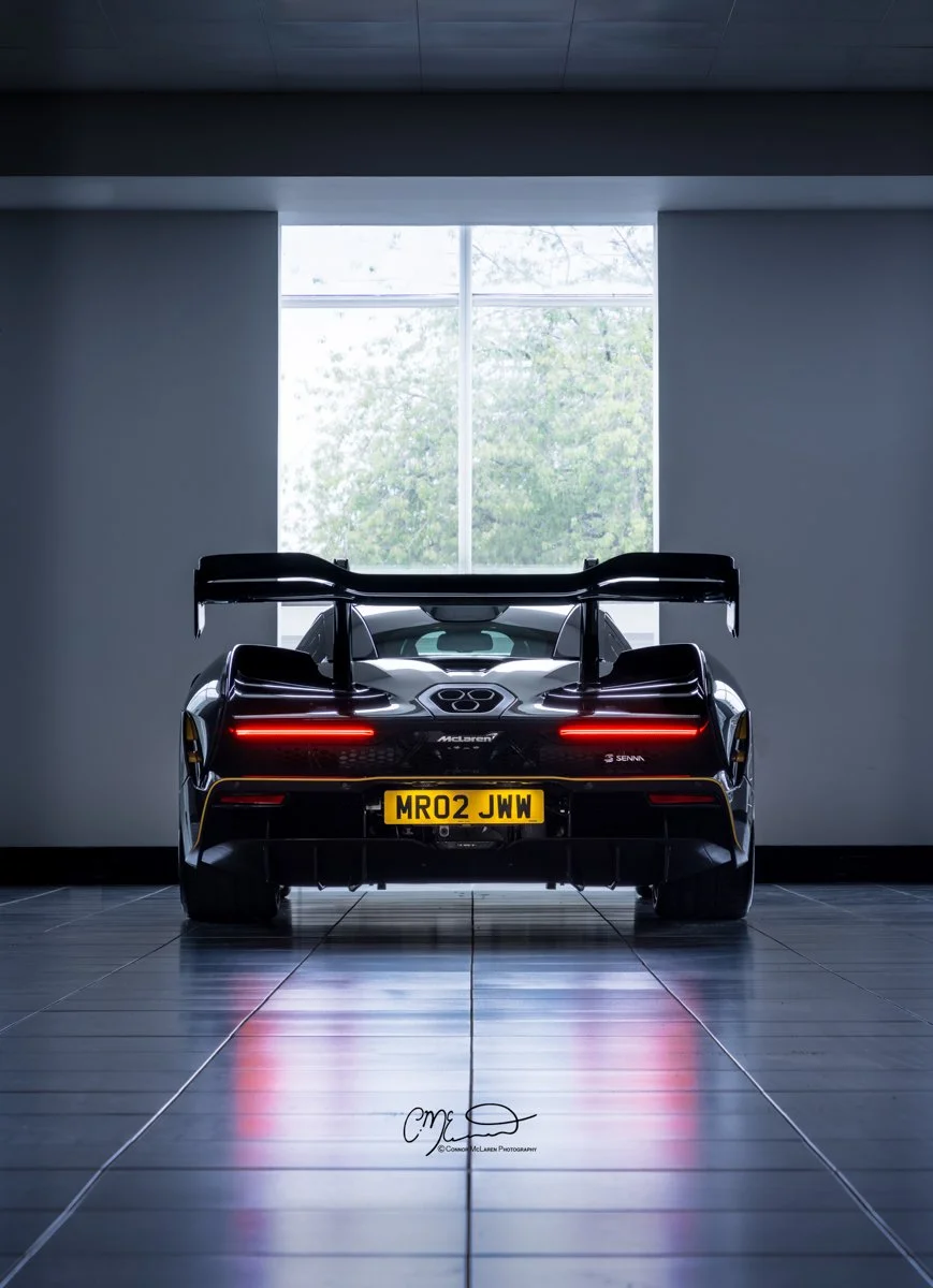 Mr JWW McLaren Senna MSO full carbon. Rear view of a black McLaren F1 GTR racing car with a large rear wing, parked indoors in front of a large window showing green trees outside.