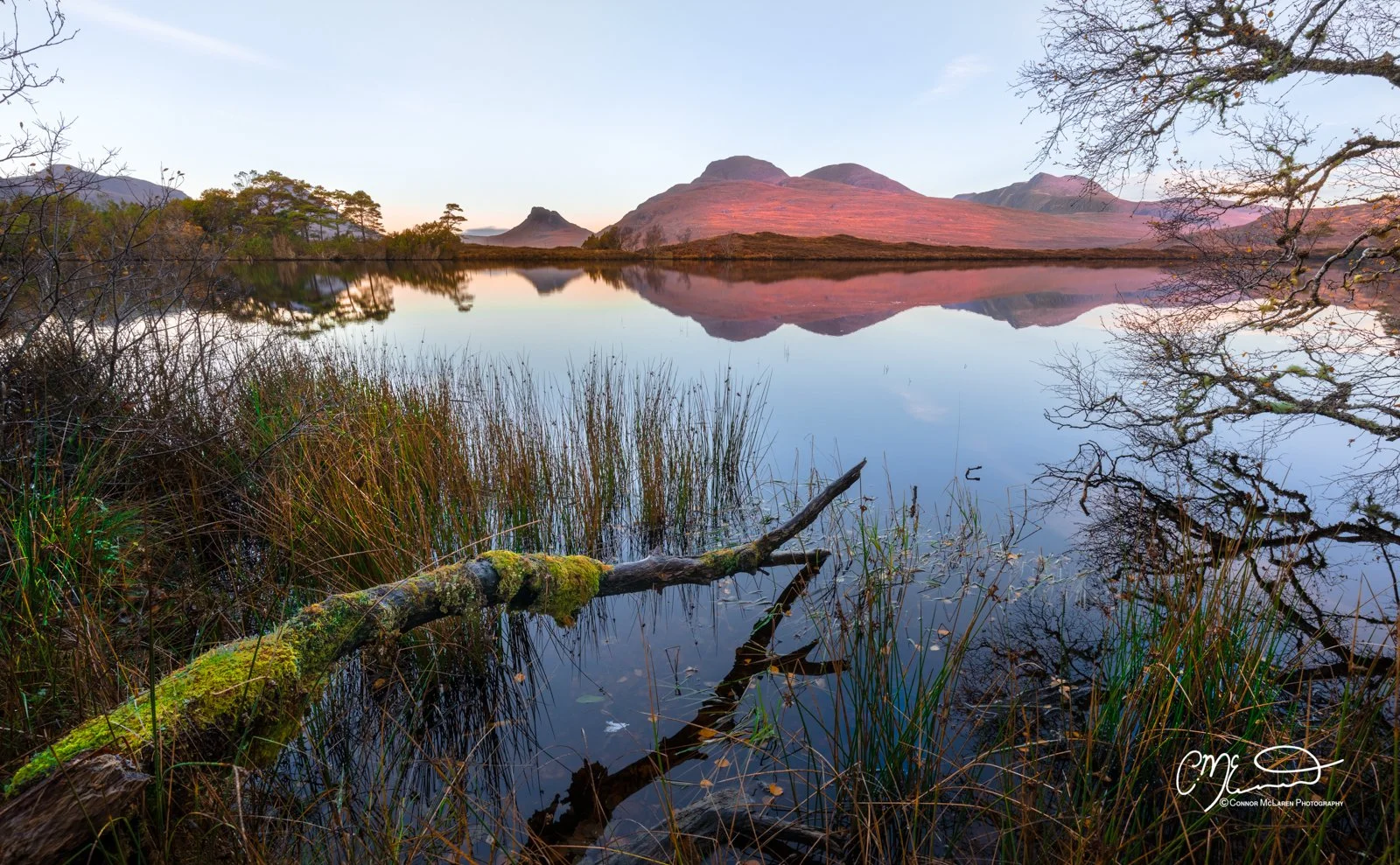 Scotland, north coast 500, NC500, Assynt. A serene mountain lake at sunrise with mountain reflections in the water, surrounded by trees and grass, with a fallen branch in the foreground.