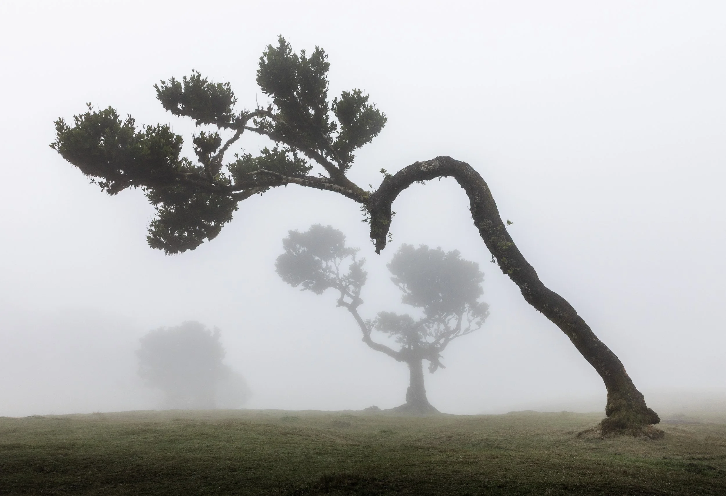 Madeira
