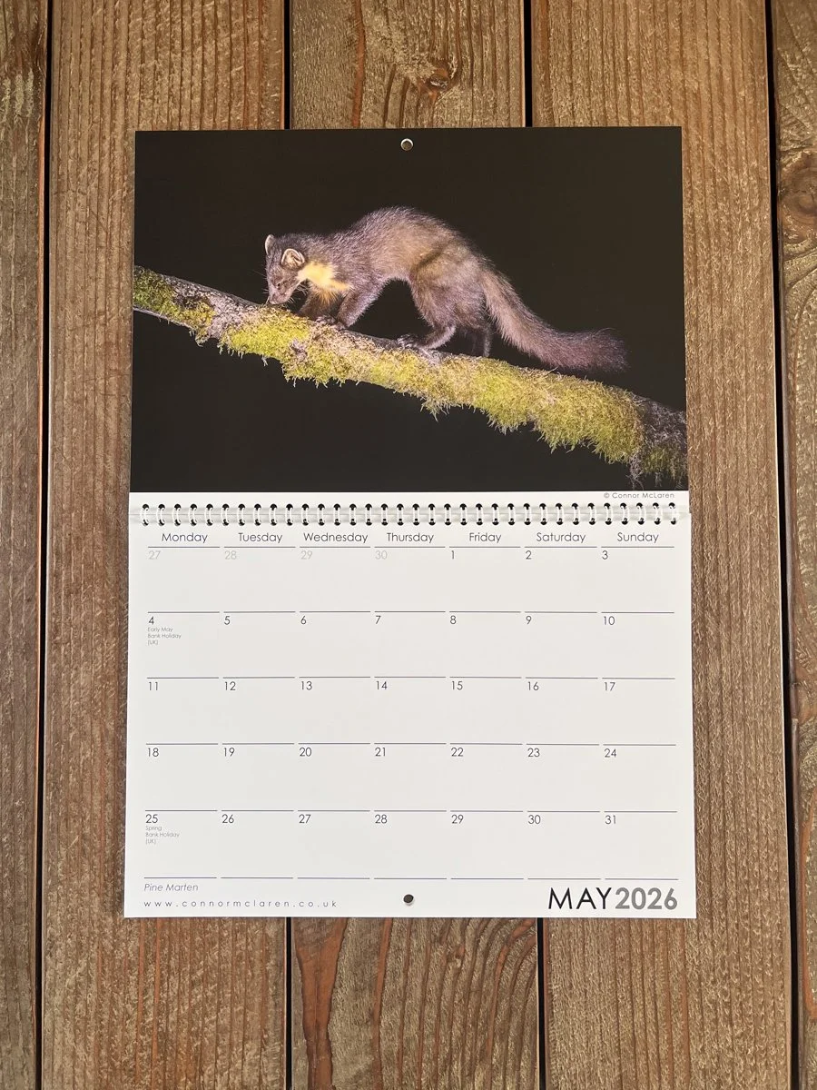 2026 Calendar1-55.jpg