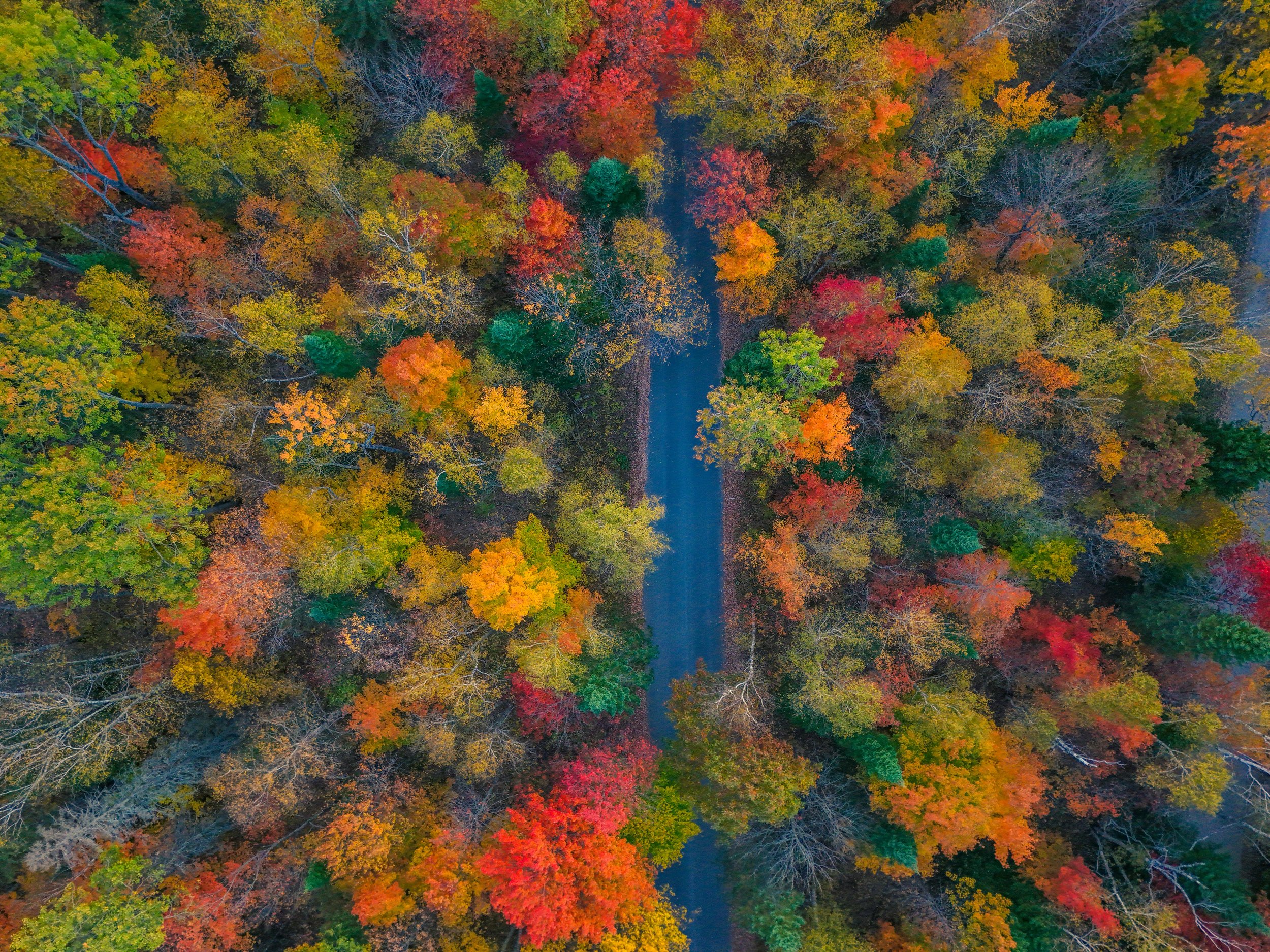 The Price of Pollution: Why Michigan’s environmental laws fail to hold corporations accountable