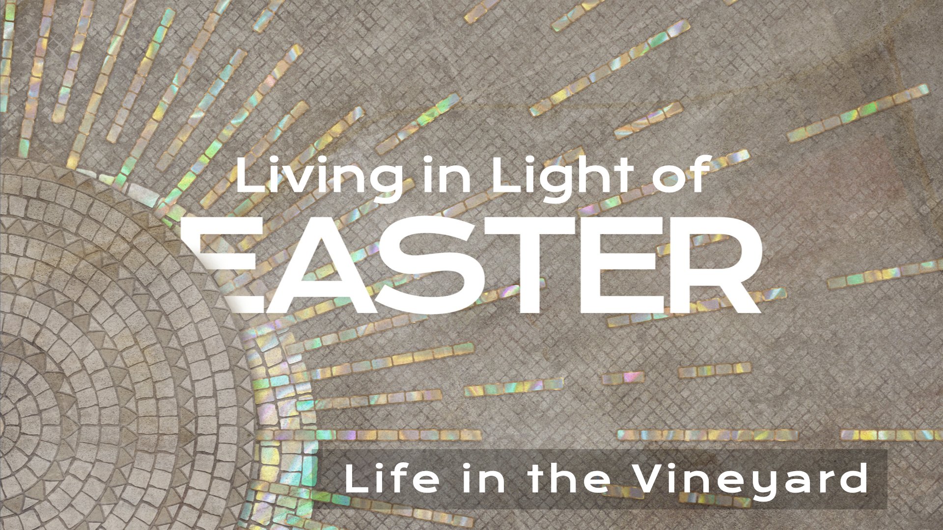 Life in the Vineyard