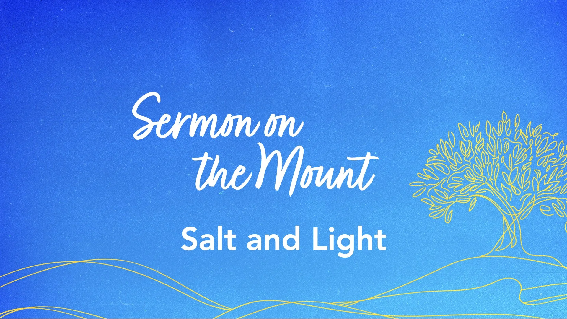 Salt and Light