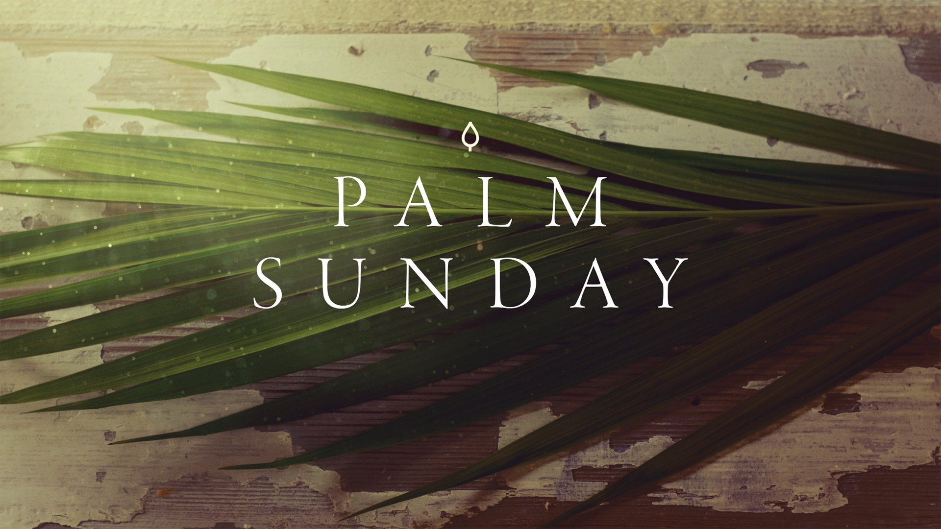 Palm Sunday