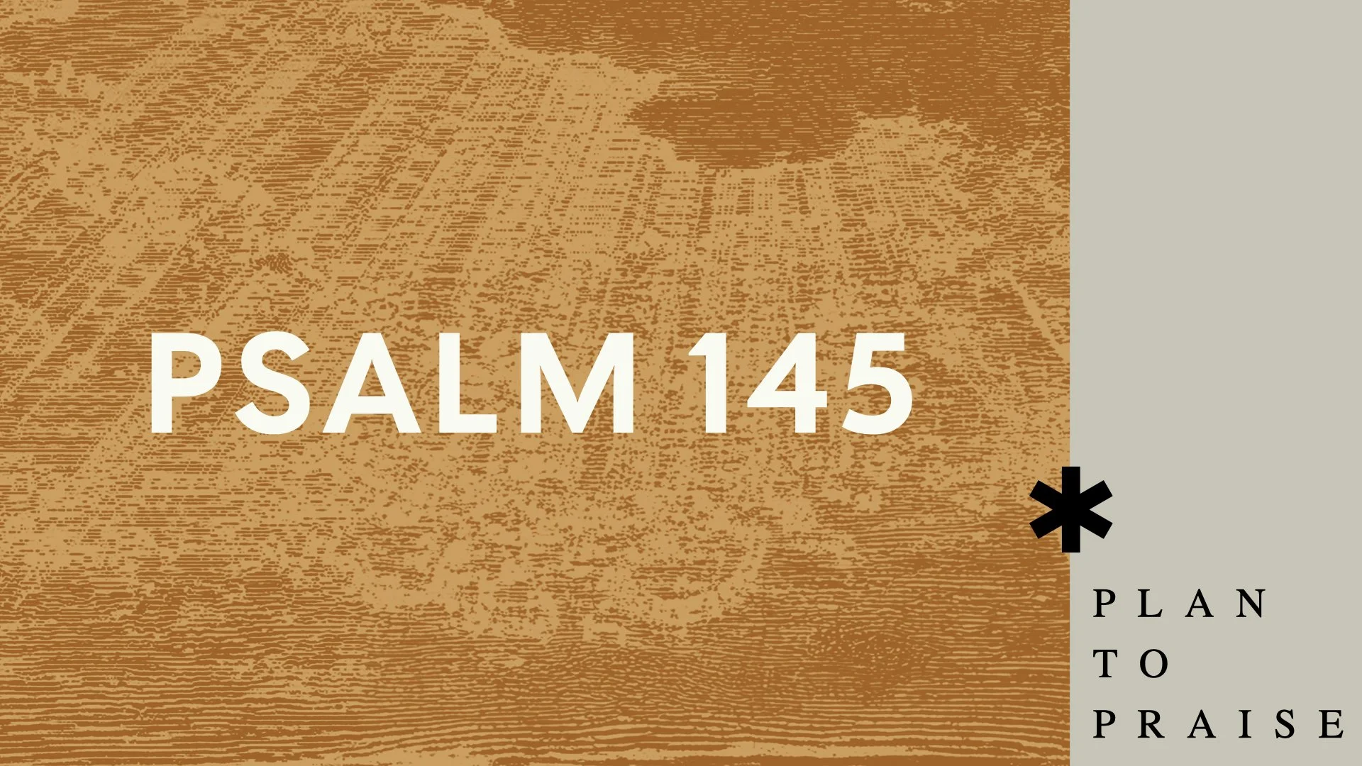 Plan to Praise