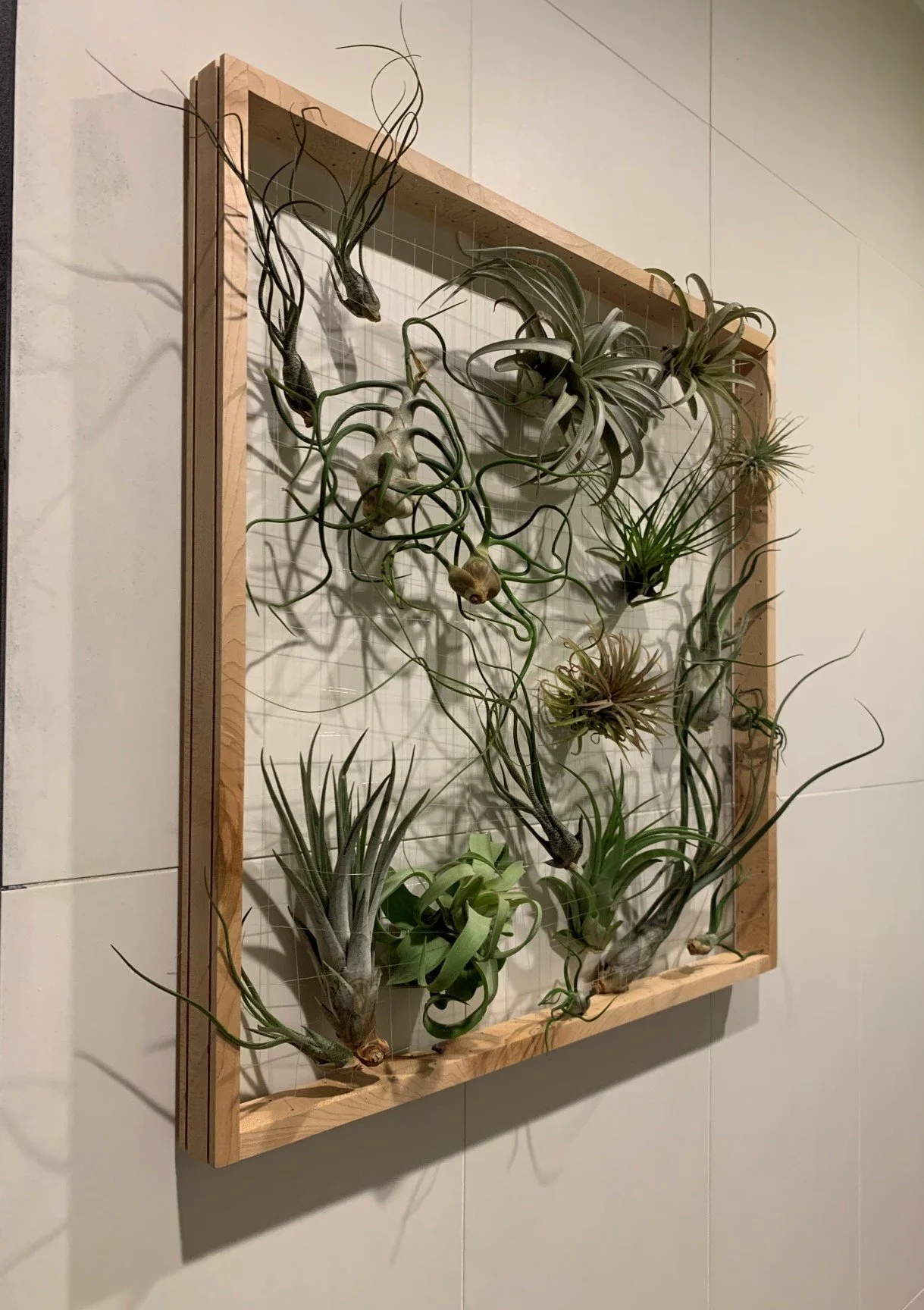 planter frame.jpg