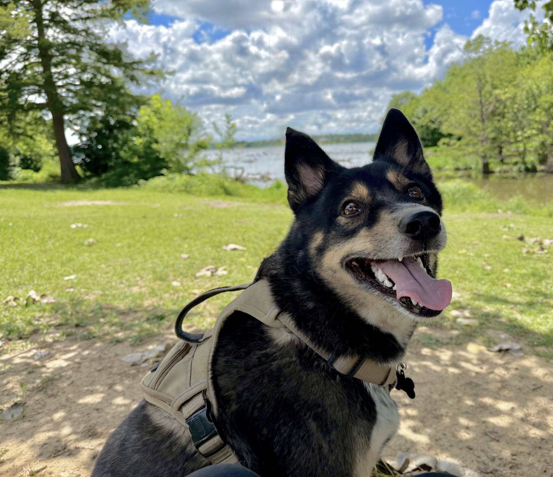 Gunner Teaches Me How to Slow Down