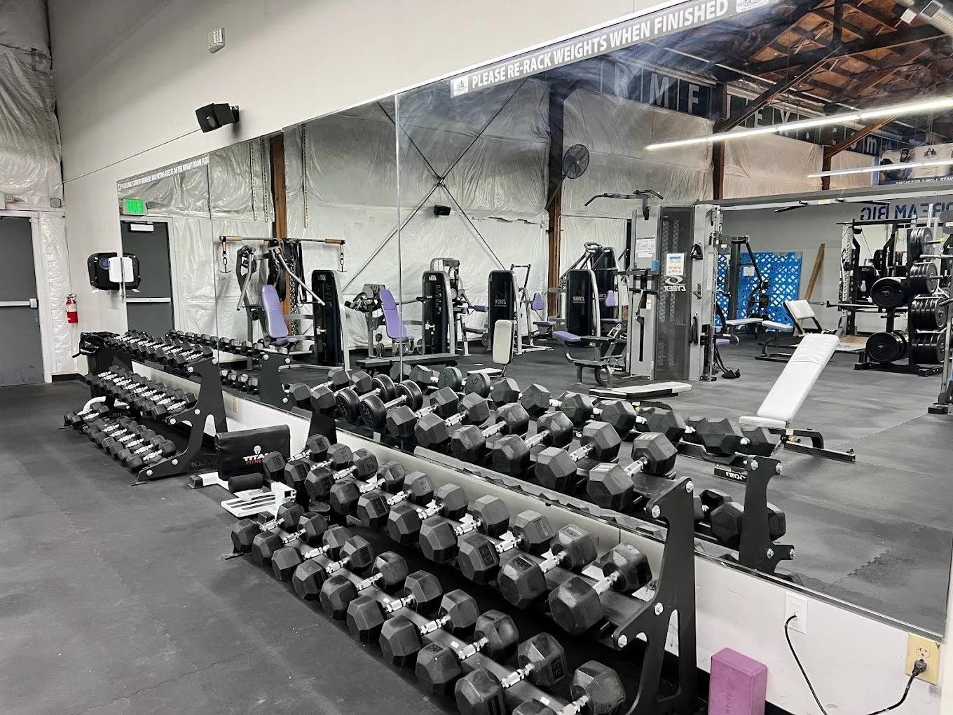 RMFF GYM weight 3.jpeg