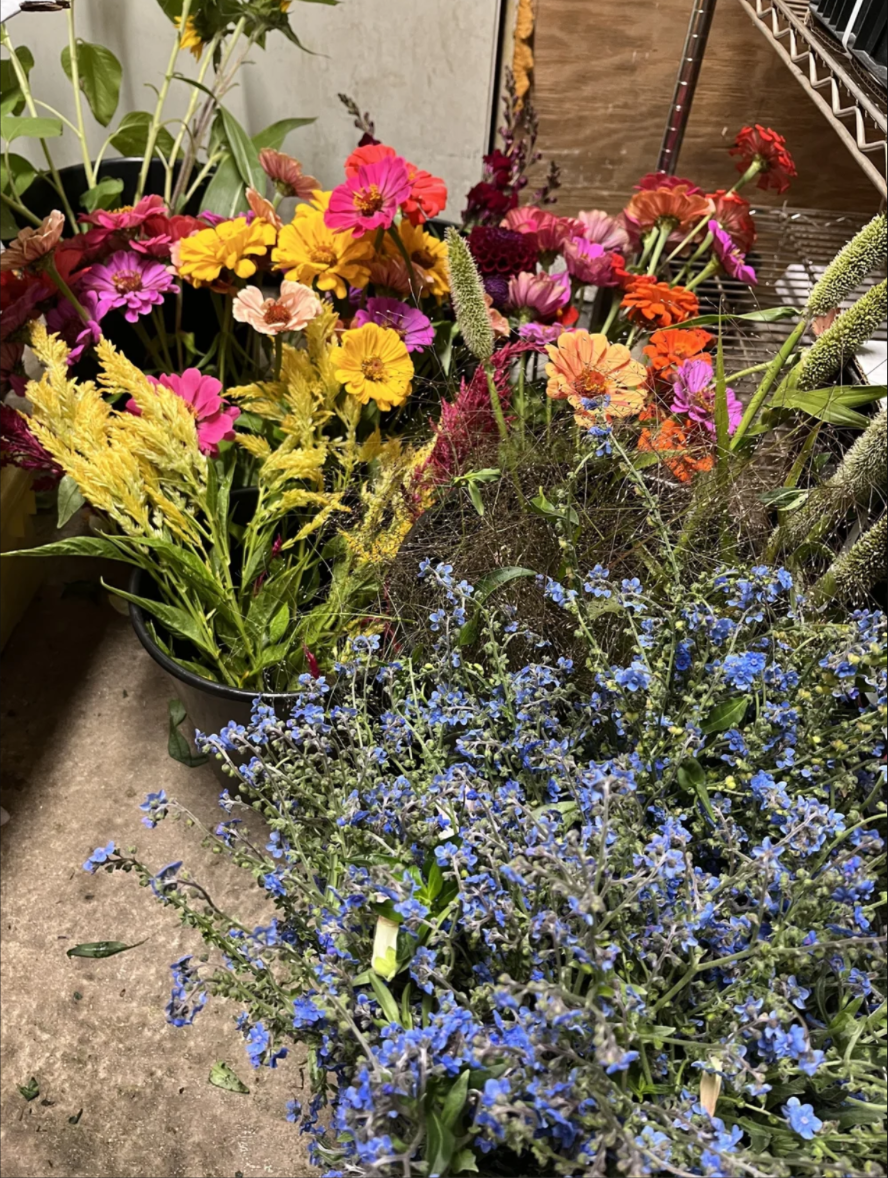 Winter 2026 Newsletter