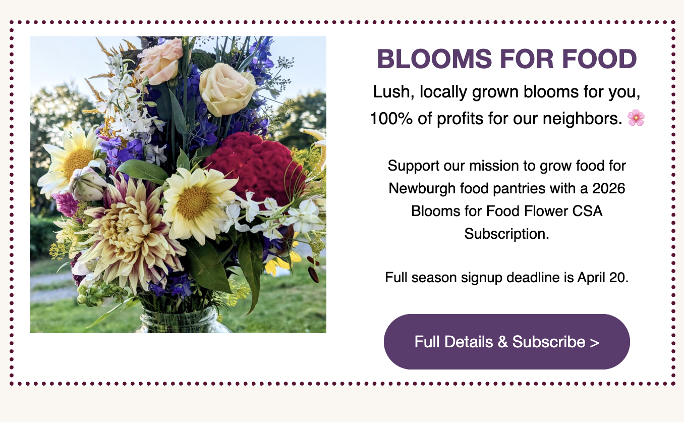 March 2026 Newsletter