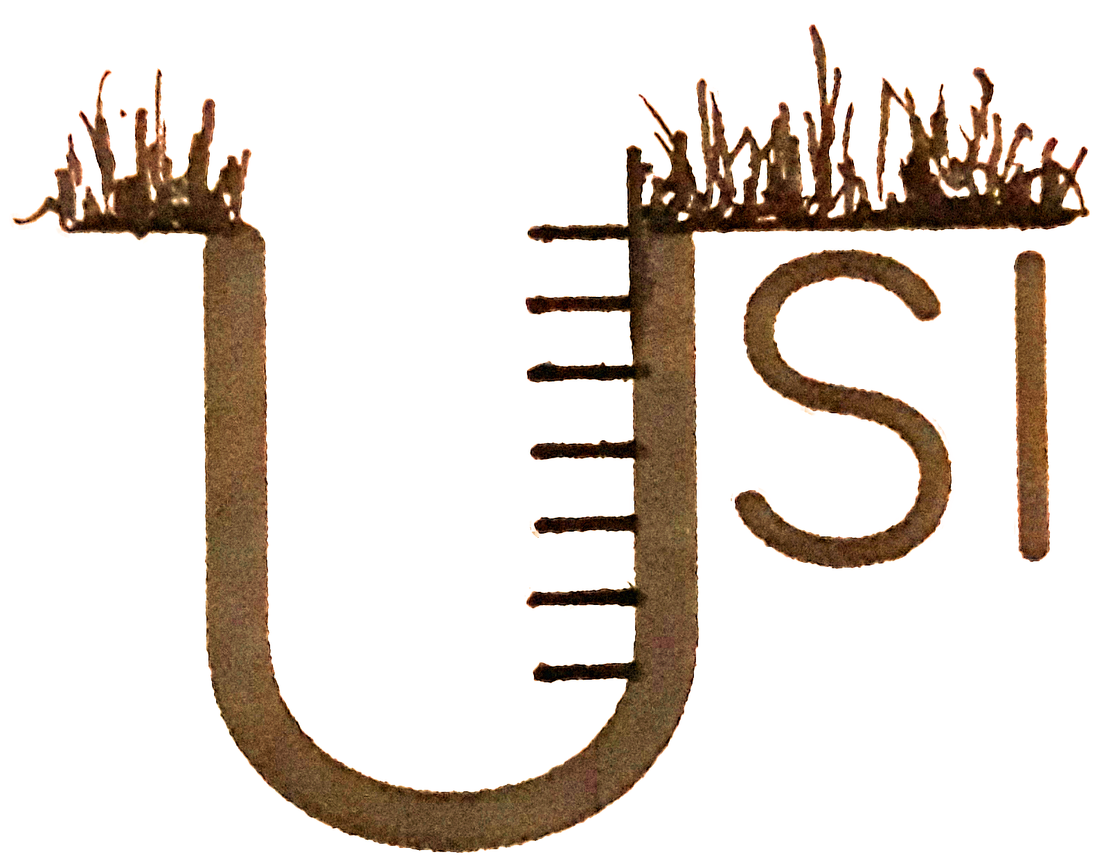 USI LOGO MAIN copy 2.png