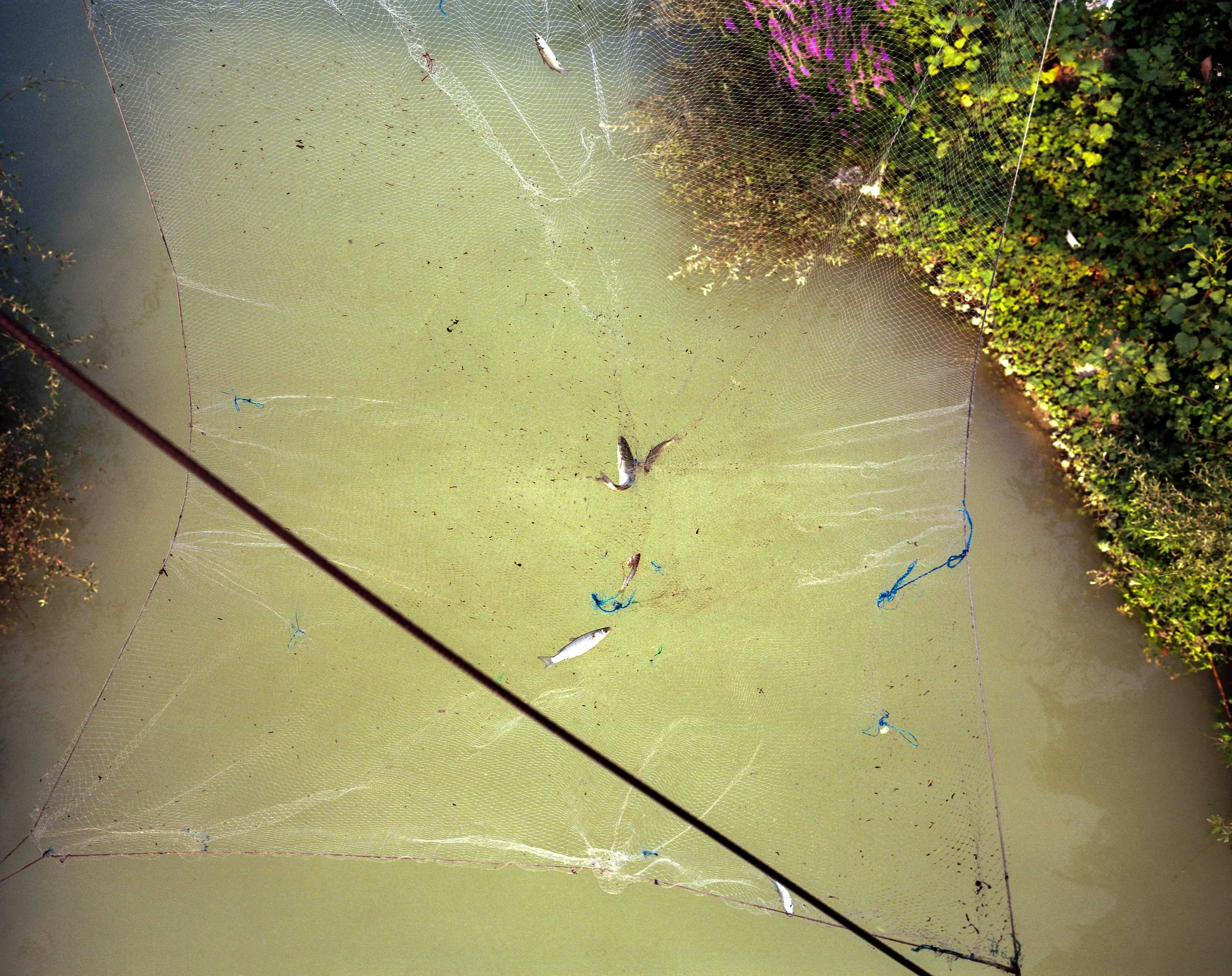 Lumi_Web_Edit-5 copy.jpg