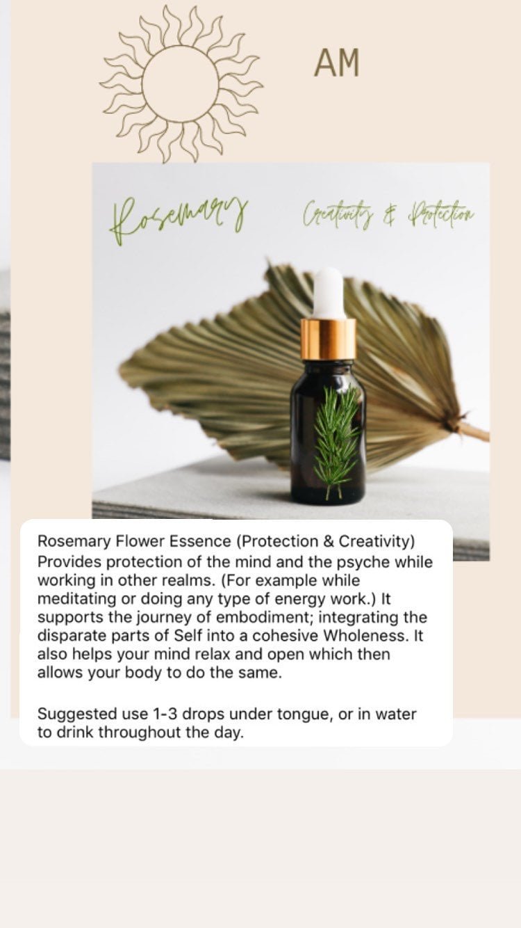 https://i.etsystatic.com/32266719/r/il/1efefc/4182342870/il_fullxfull.4182342870_mz2l.jpg