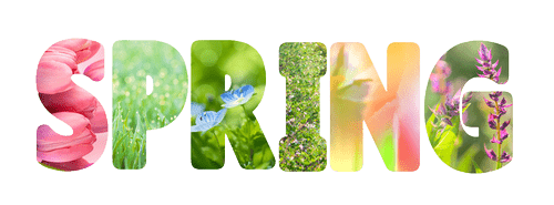 Part 1 Spring A Guide to Seasonal Mindfulness Part 1: Spring — Rennie & Sage