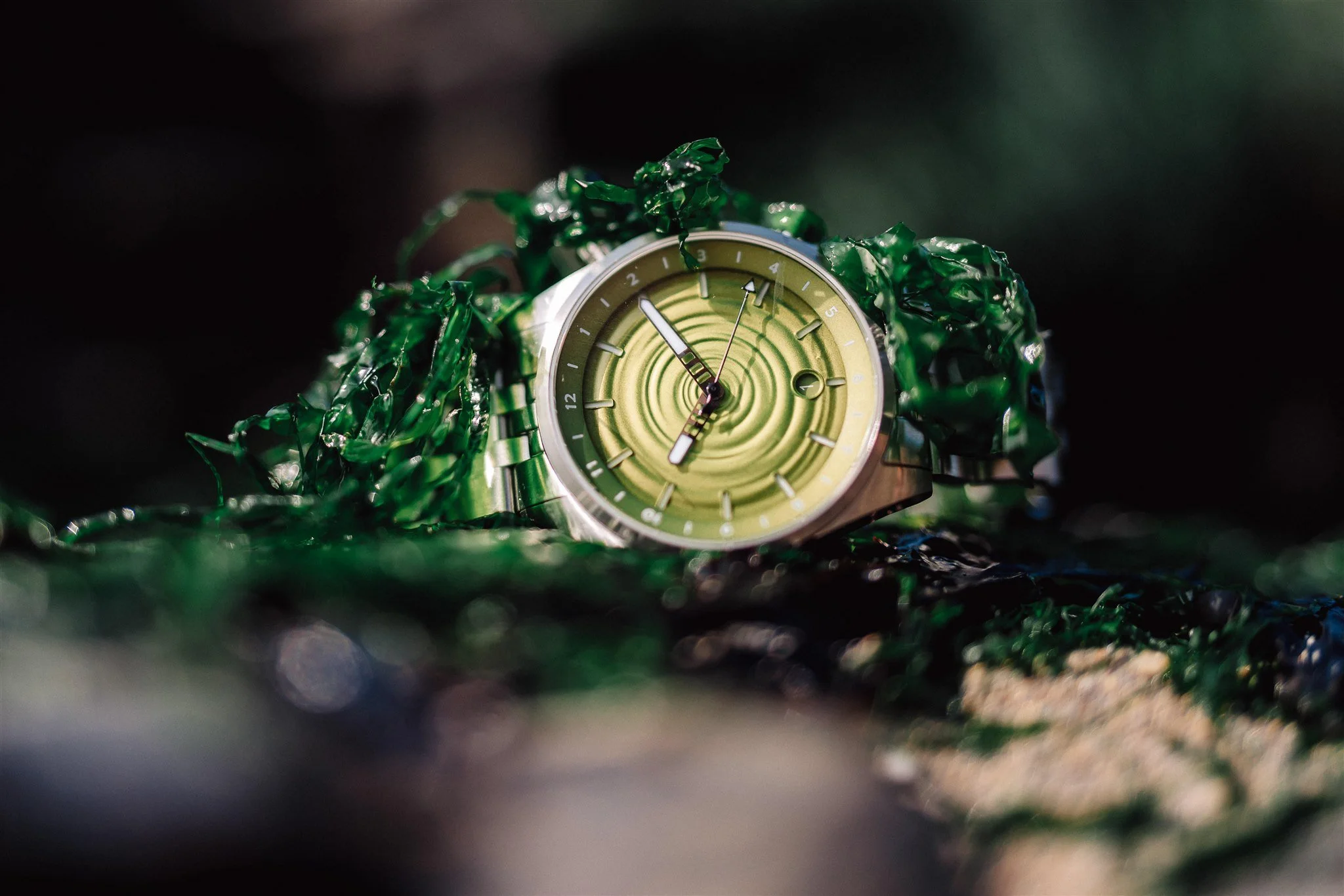 Golby Skipping Stone Green Seaweed Watch Dan Ward Photography (11).jpg
