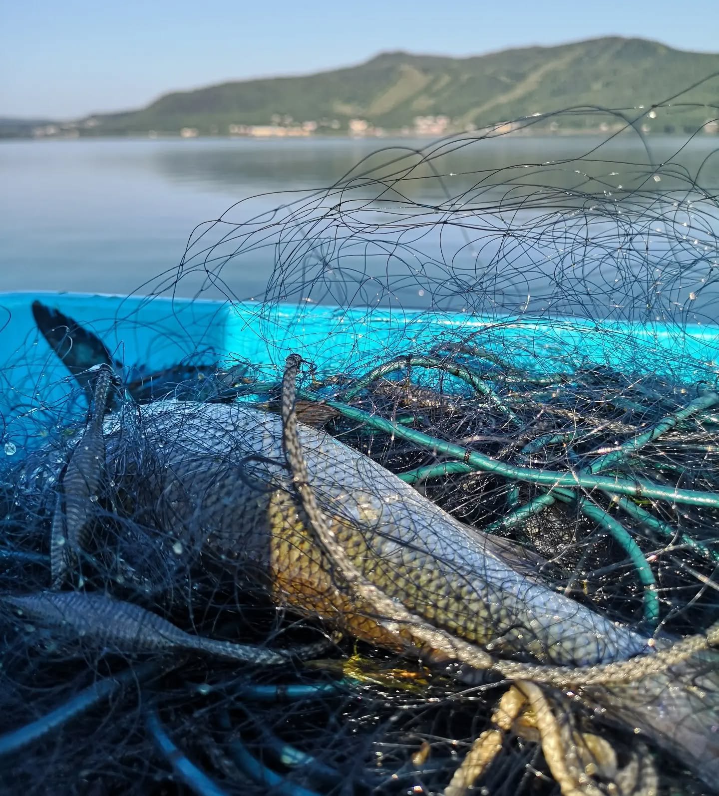 Nu &auml;r det h&ouml;gs&auml;songen f&ouml;r att sk&ouml;rda i naturen. V&auml;lkommen p&aring; fisksoppa och hembakat fikabr&ouml;d !
.
.
.
#kafe.ryfjallet  #mathantverk  #hemavantarnaby #nature