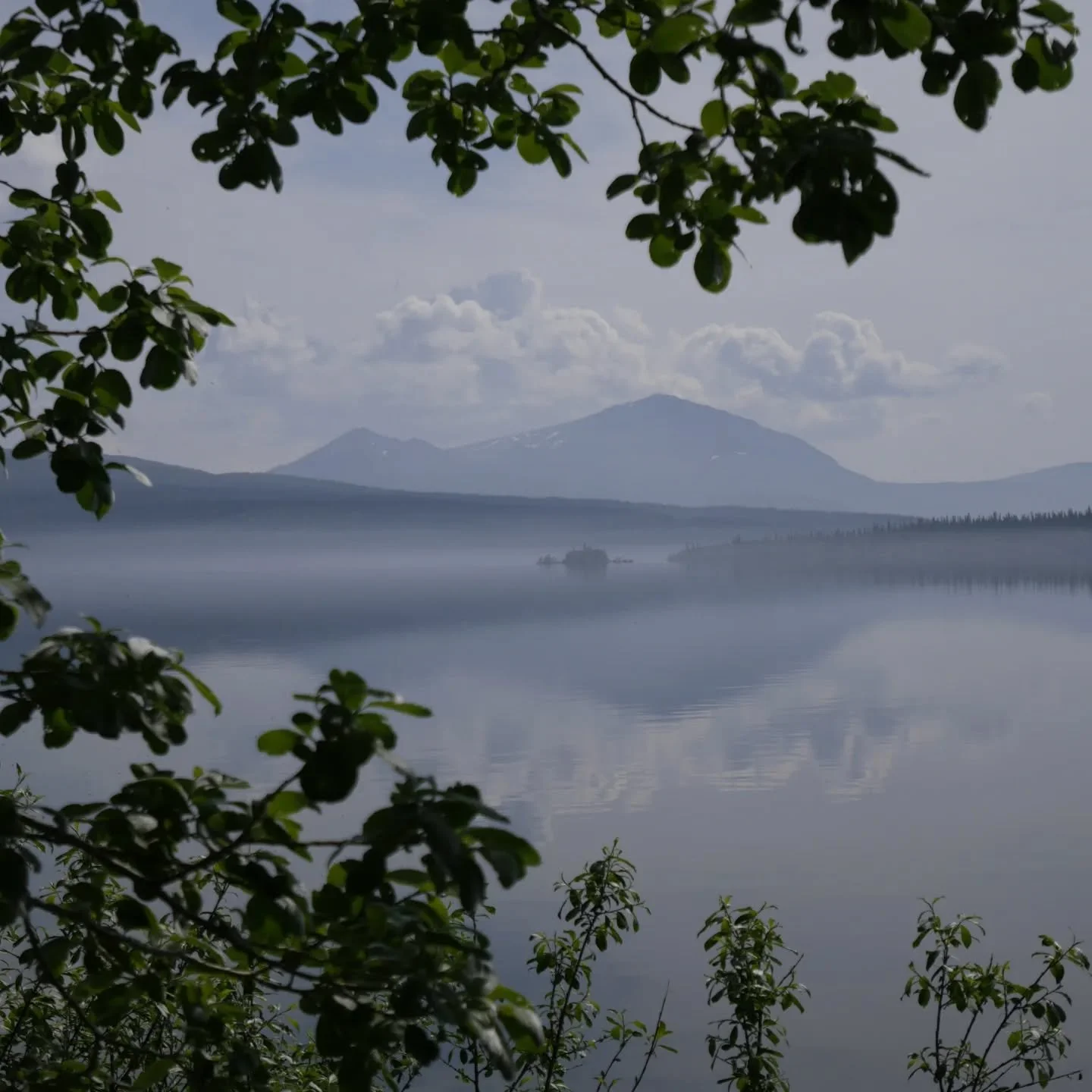 Sommar&ouml;ppet p&aring; Kafe Ryfj&auml;llet fr&aring;n 23 juni. 
&Ouml;ppettider m&aring;ndag - fredag kl. 10-16.
Varmt v&auml;lkomna!
.
.
.
#kafe.ryfjallet #trolltrummantarnaby #mathantverk #hemavantarnaby